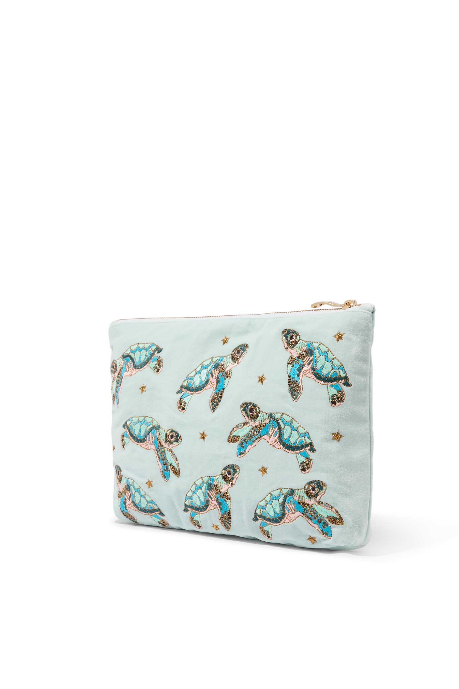 Baby Turtle Conservation Everyday Pouch