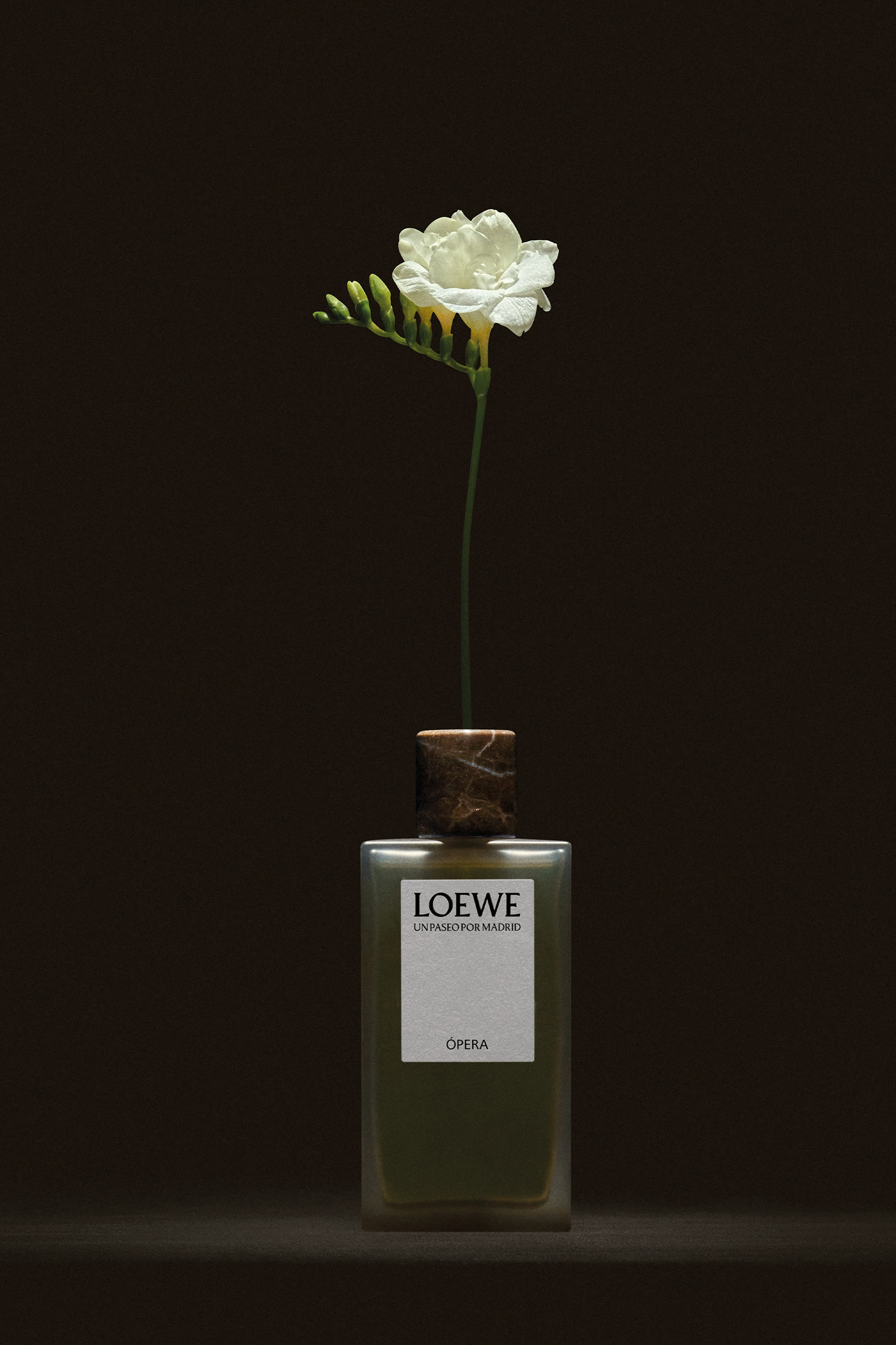 Un Paseo Por Madrid &Oacute;pera Eau de Parfum