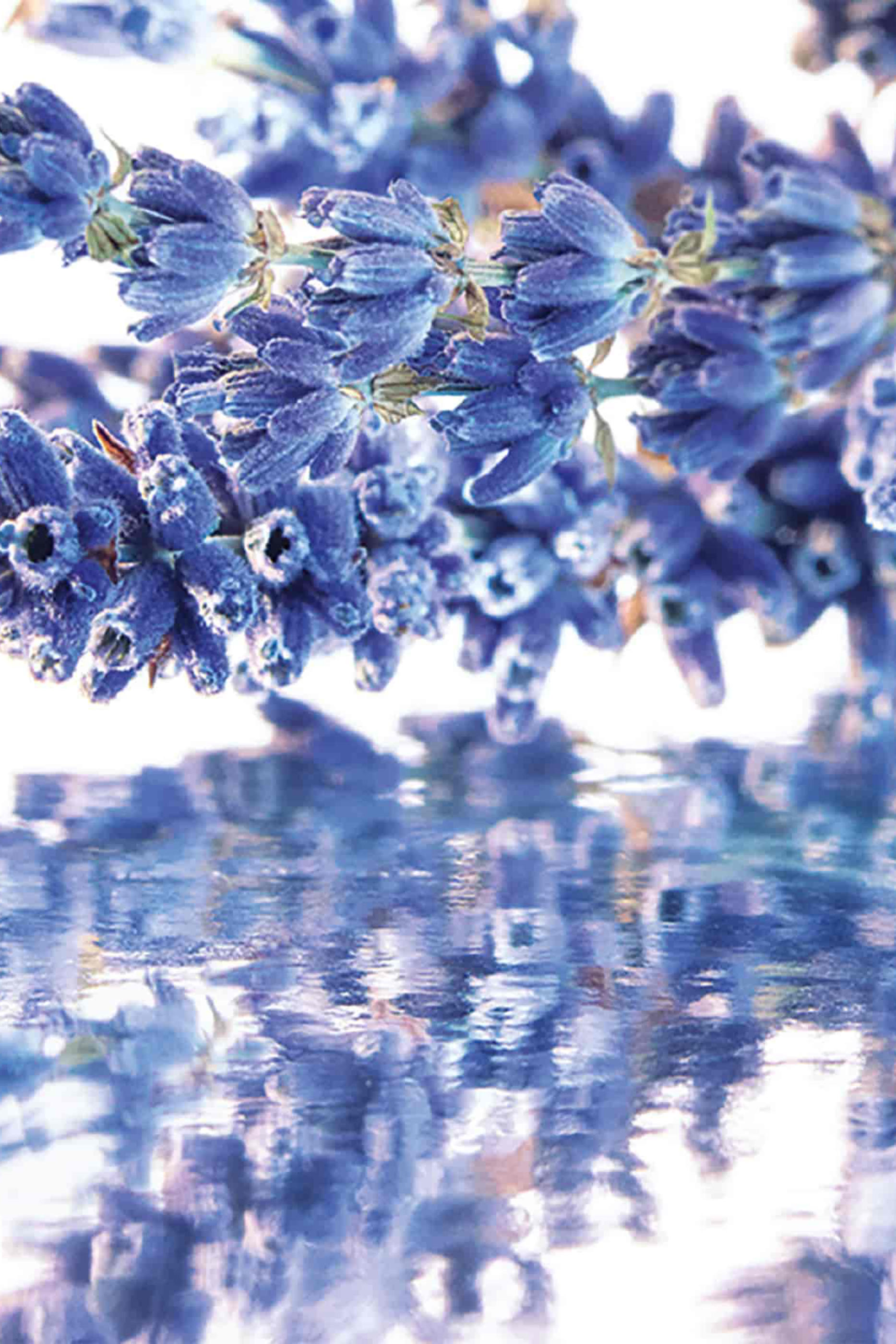 Mon Guerlain Eau de Parfum Gift Set