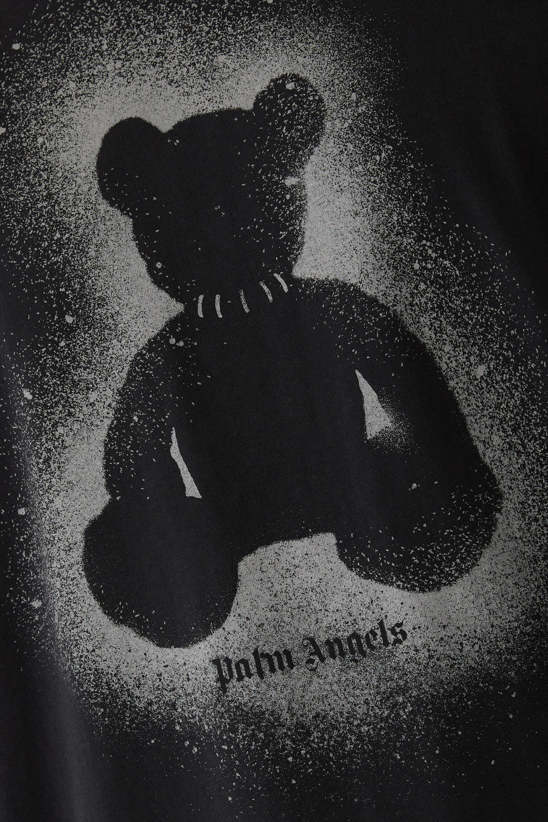 Spray Bear T-Shirt