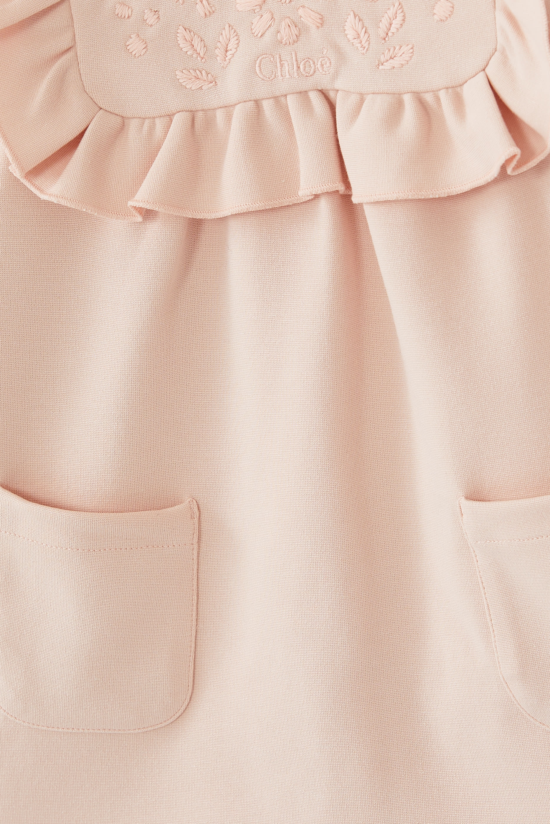 Kids Frilled Trim Long Sleeve Dress