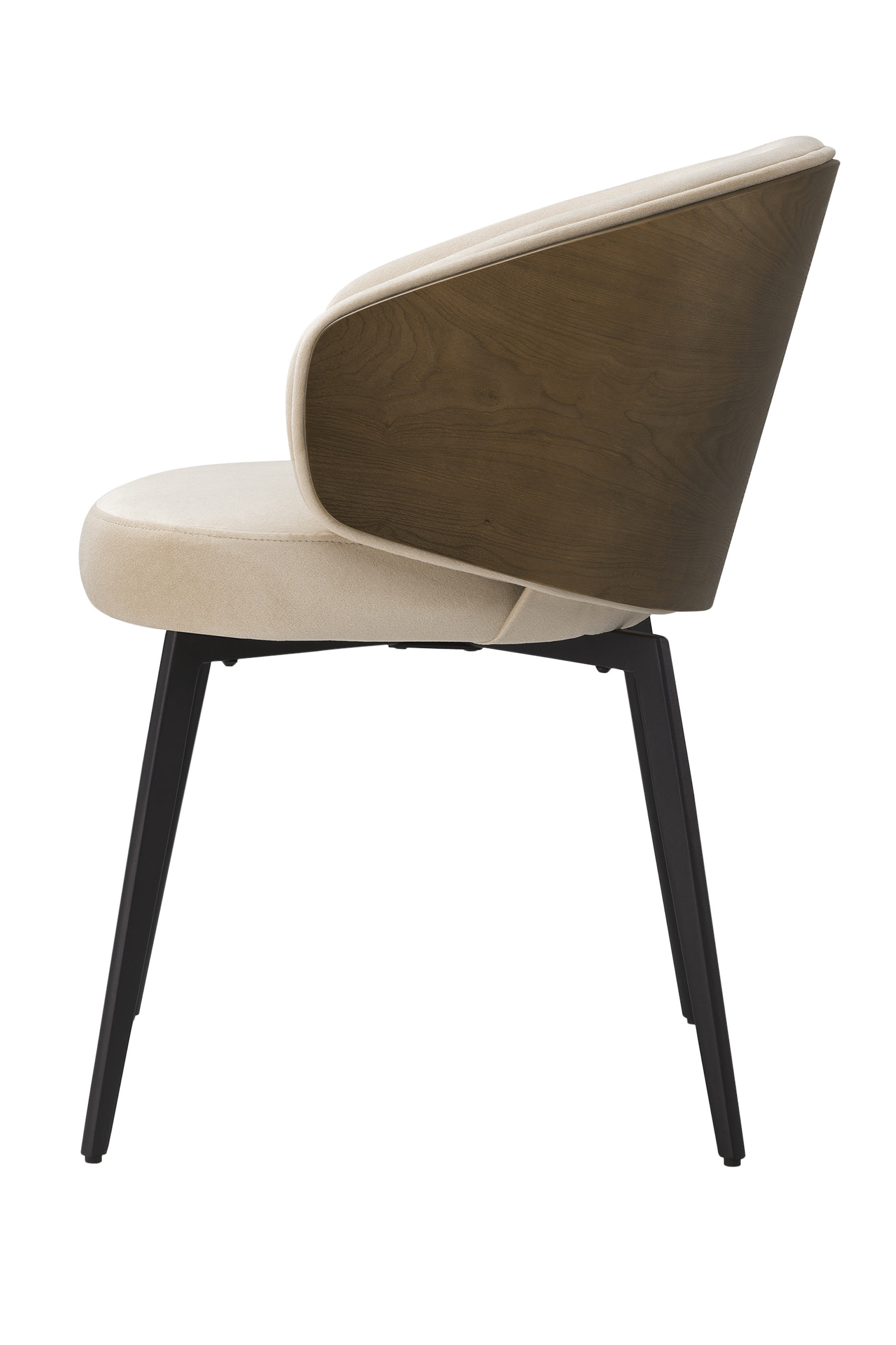 Camerota Dining Chair
