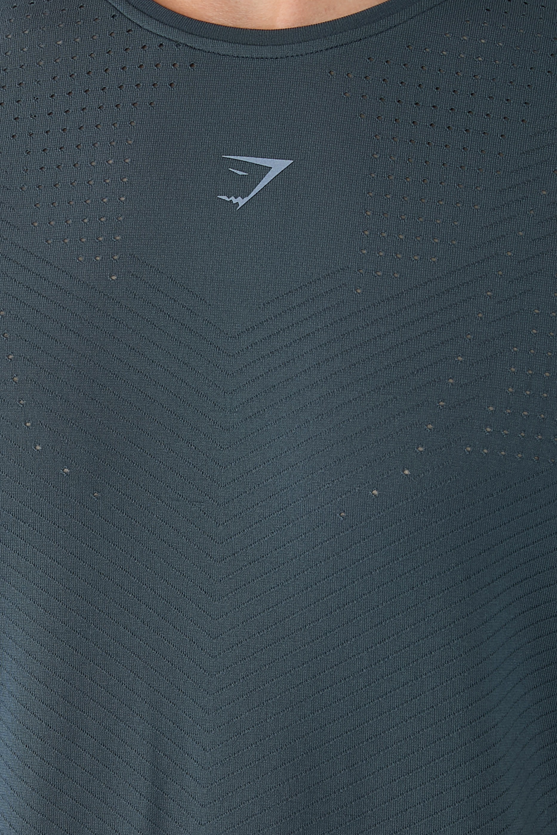 Running Seamless T-Shirt