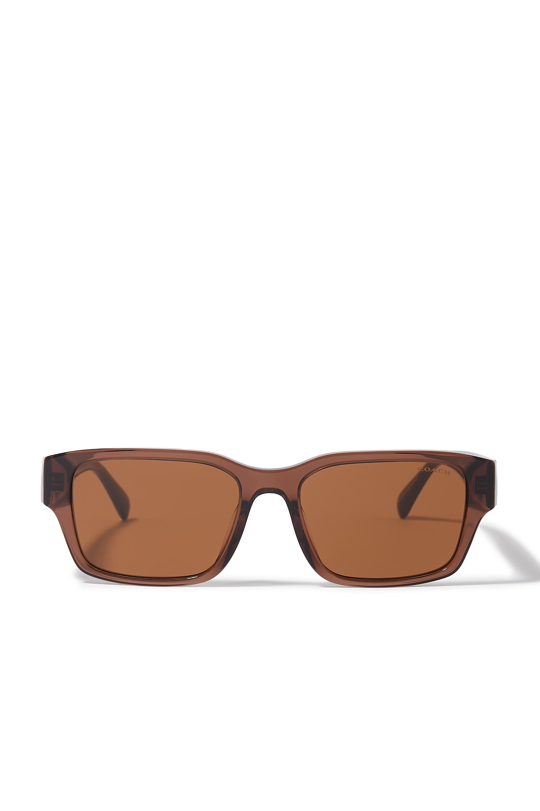 D-Frame Maxi C Temple Sunglasses
