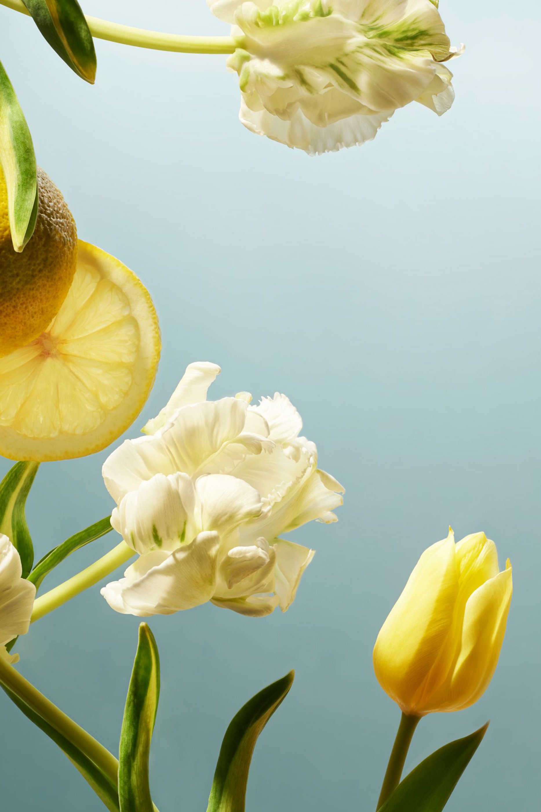 Amsterdam Collection Parfum d'Interieur, 500ml