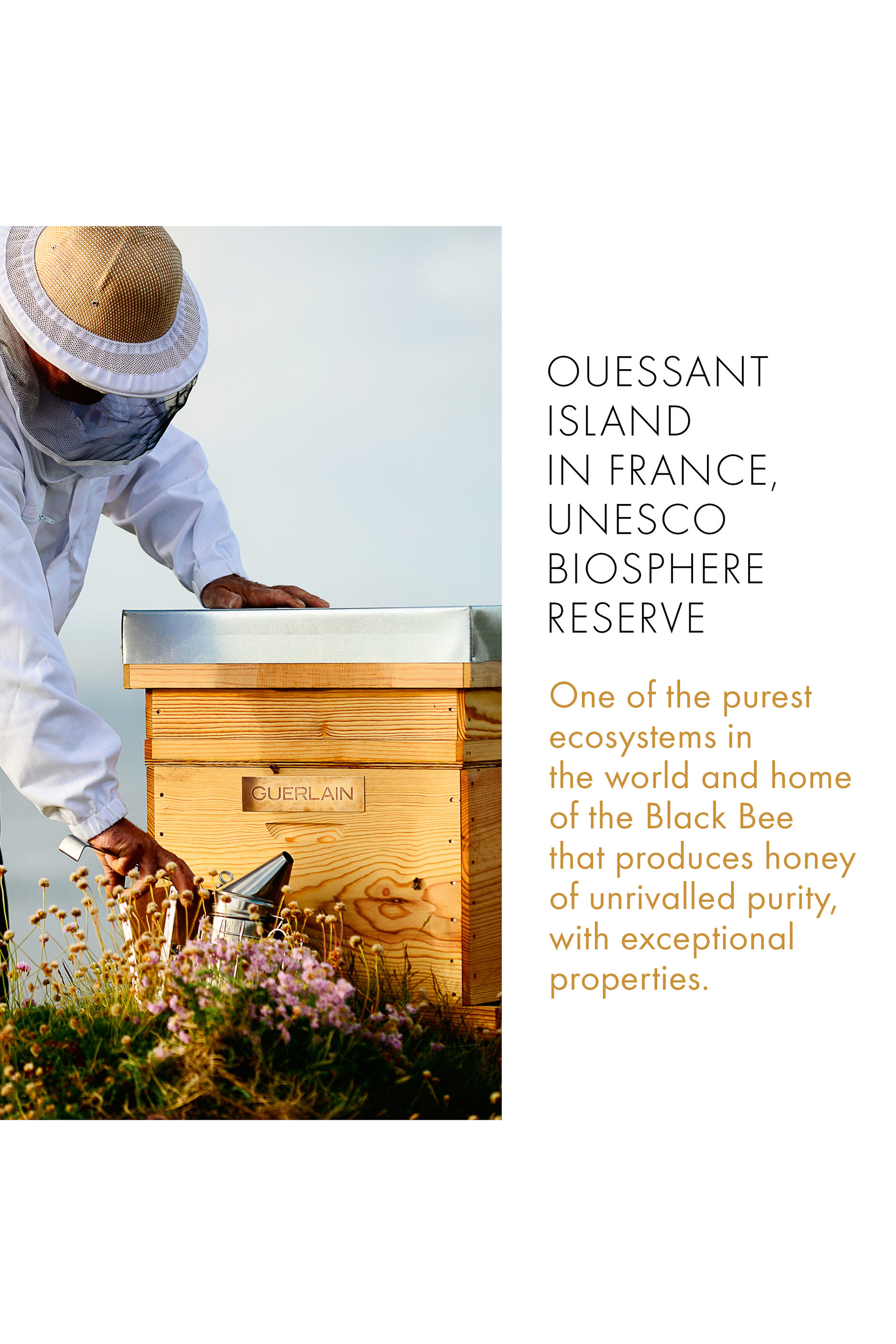 Abeille Royale Repairing and Youth Hand Balm