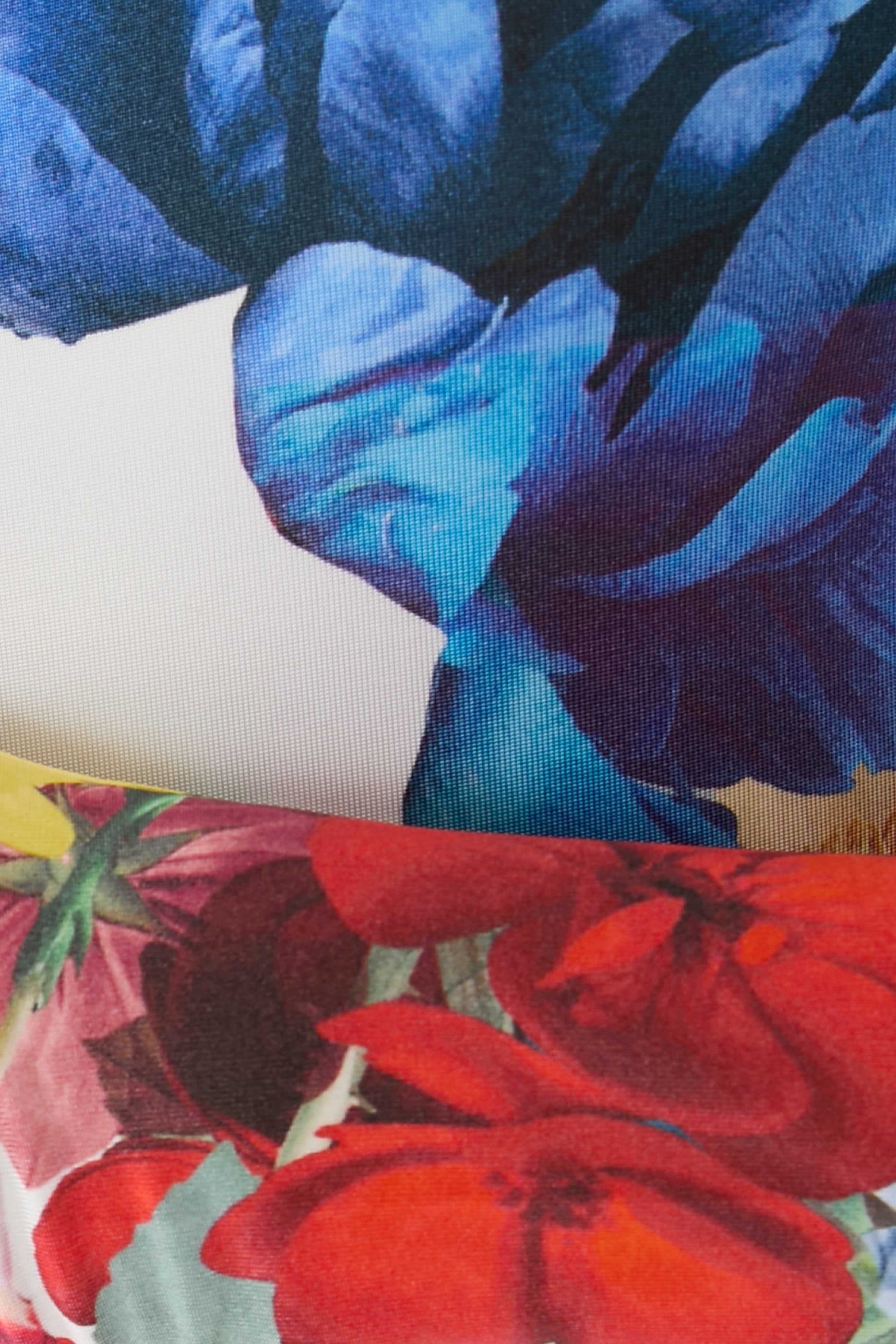 Rhys Ballet Neck Bodysuit 