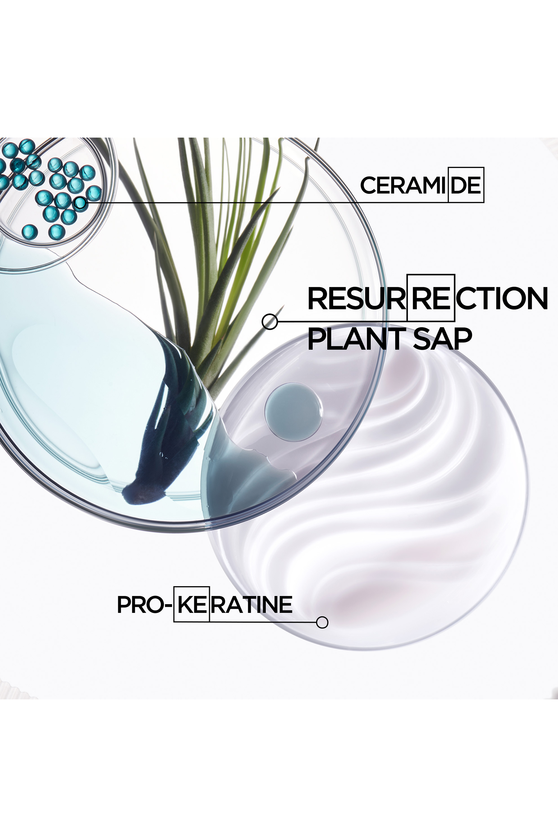 Résistance Bain Force Architecte Shampoo