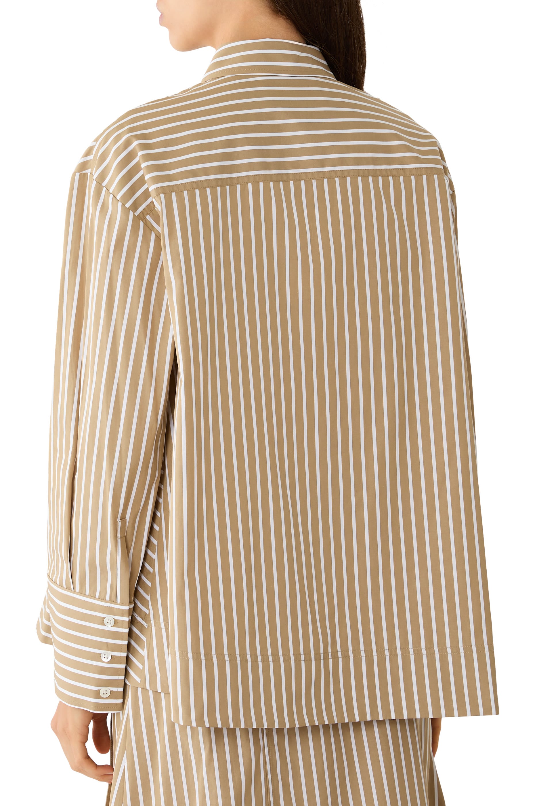 Asymmetrical Stripe Trapeze Shirt