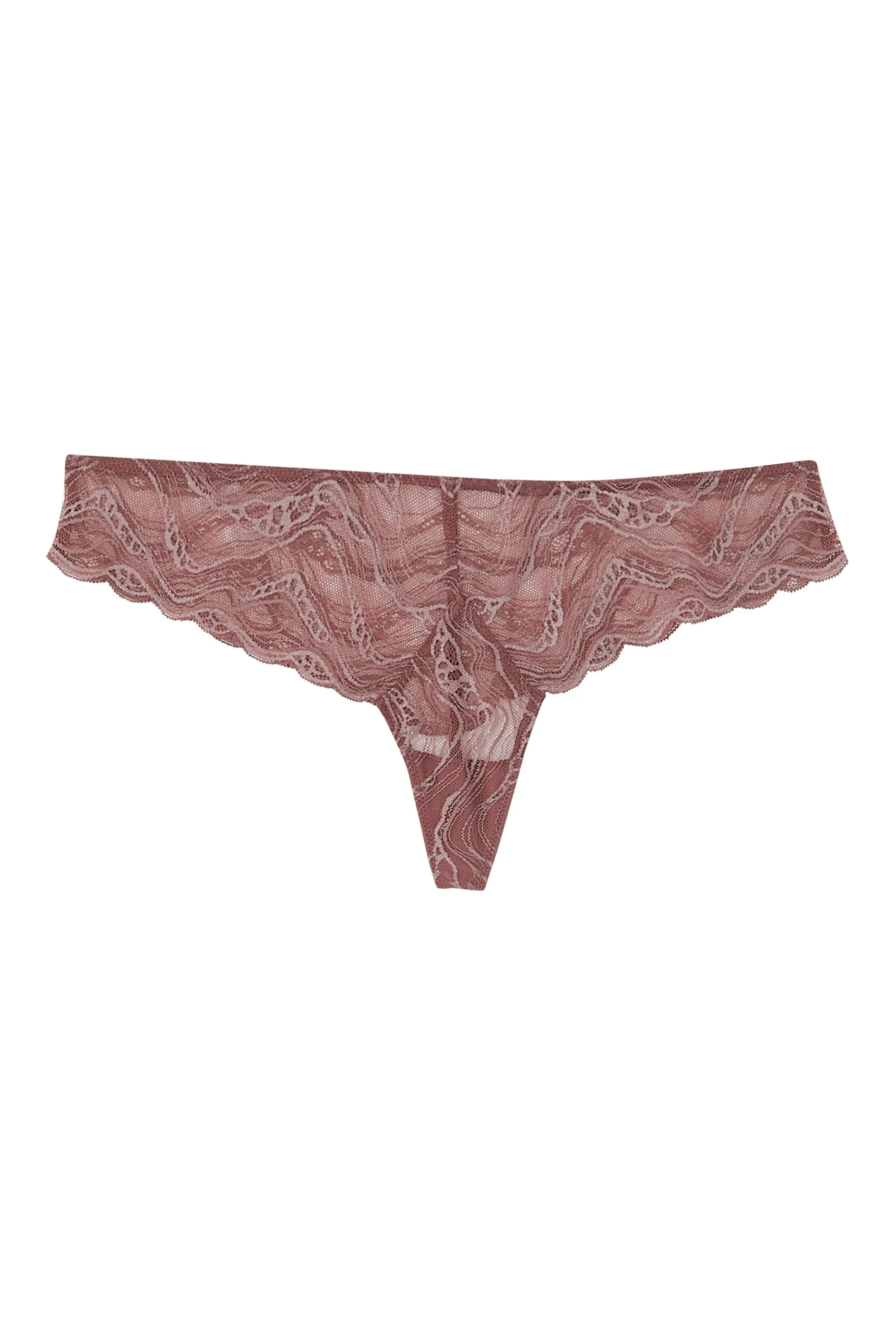 Sheer Lace Brazilian Briefs