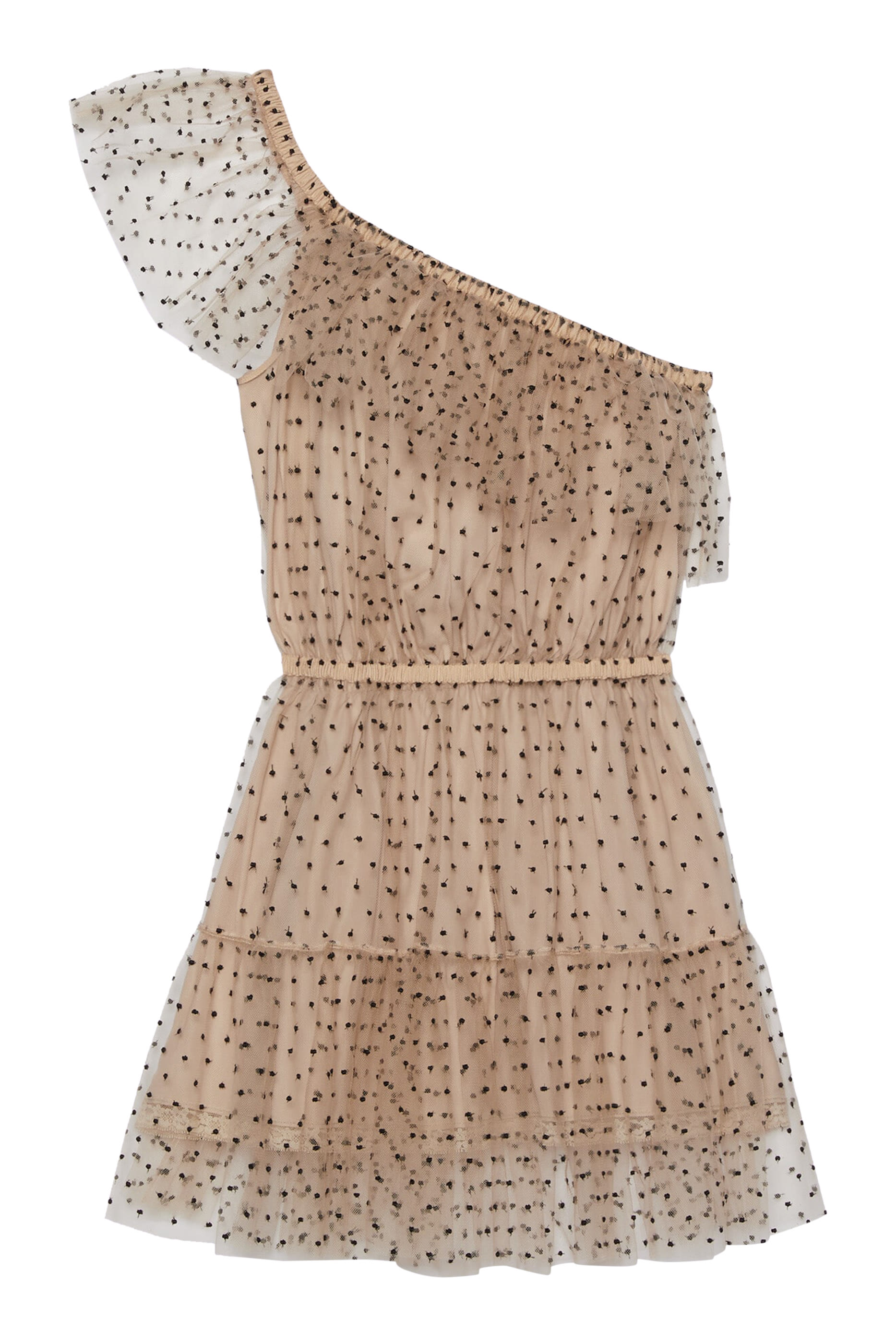 Polka Dot Sleeveless Tulle Dress