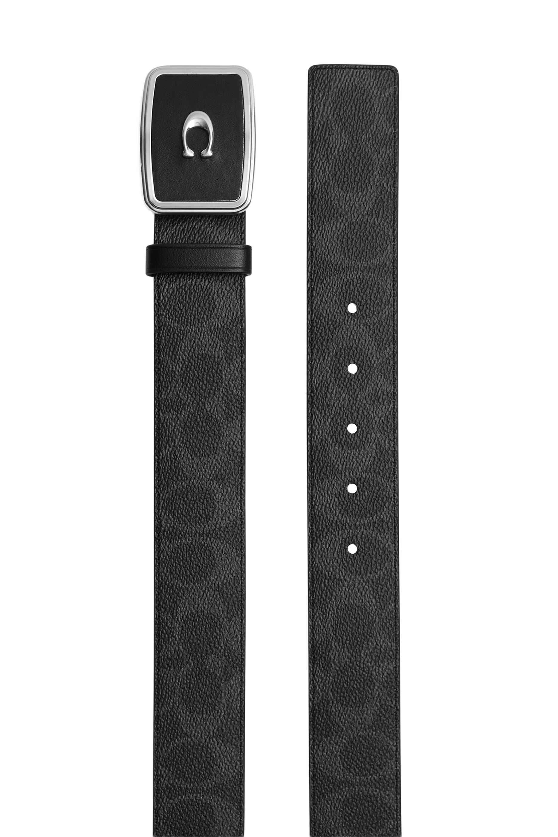 Signature Plaque Buckle Belt