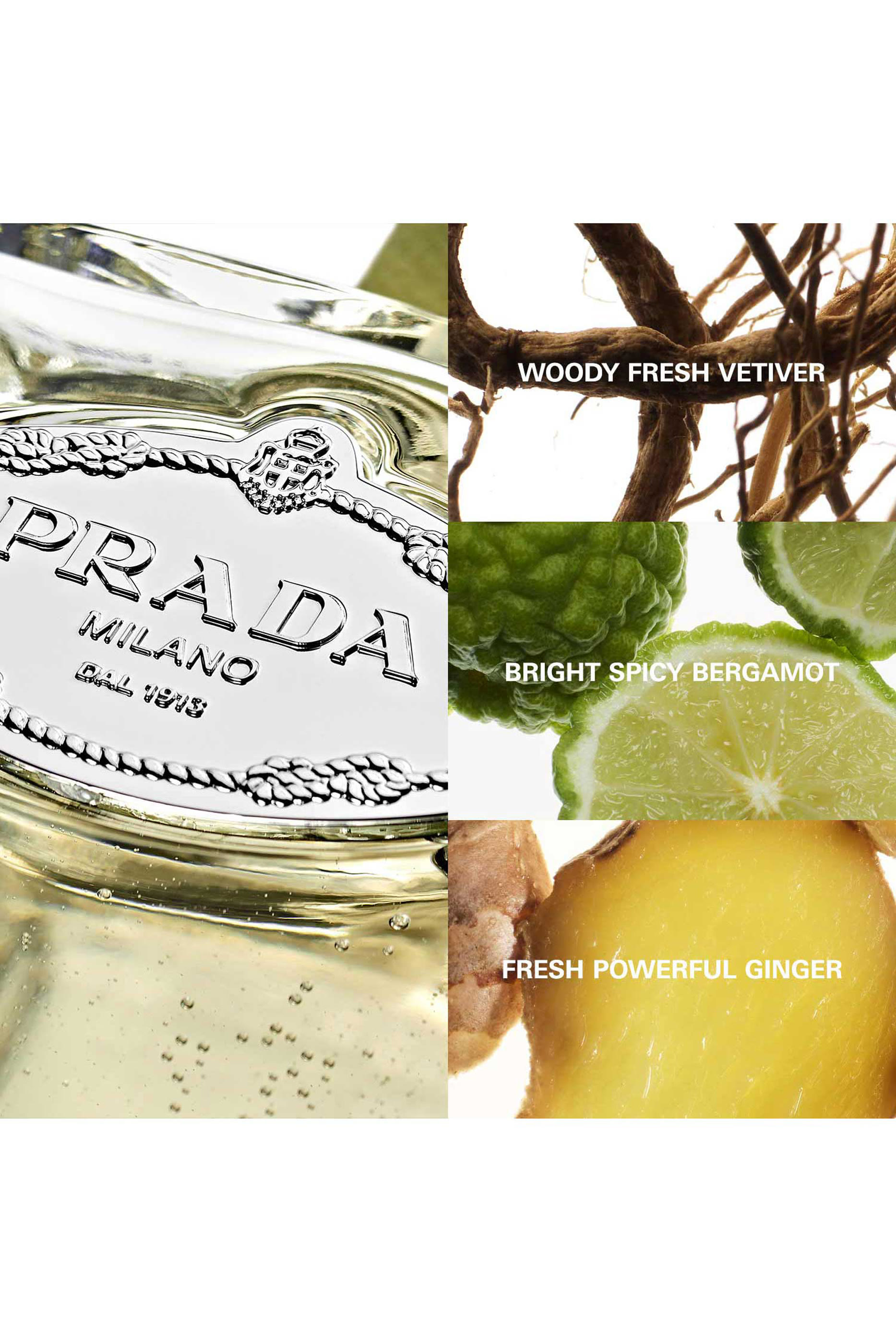 Les Infusions de Prada Vetiver Eau de Parfum