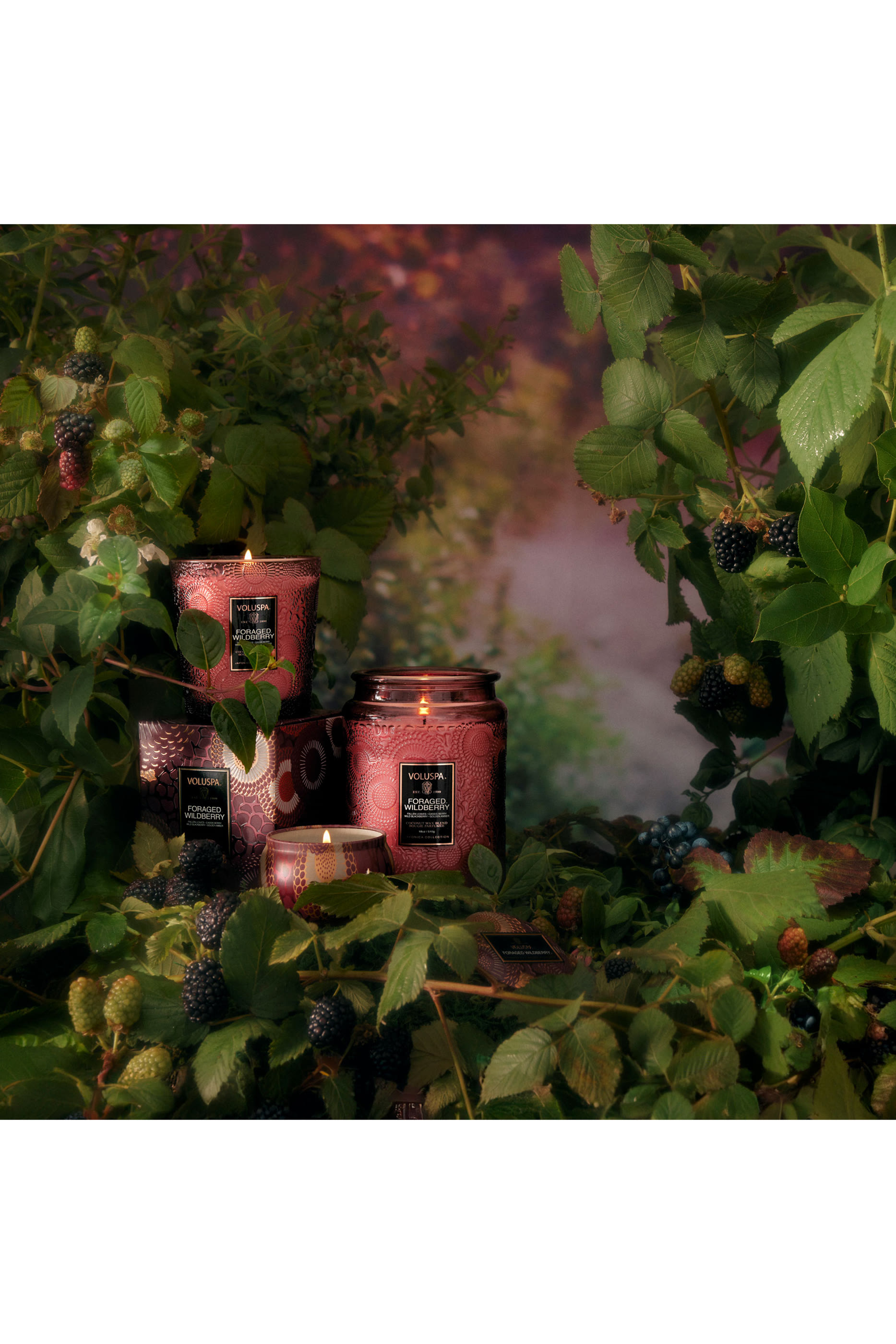 Foraged Wildberry Luxe Jar Candle
