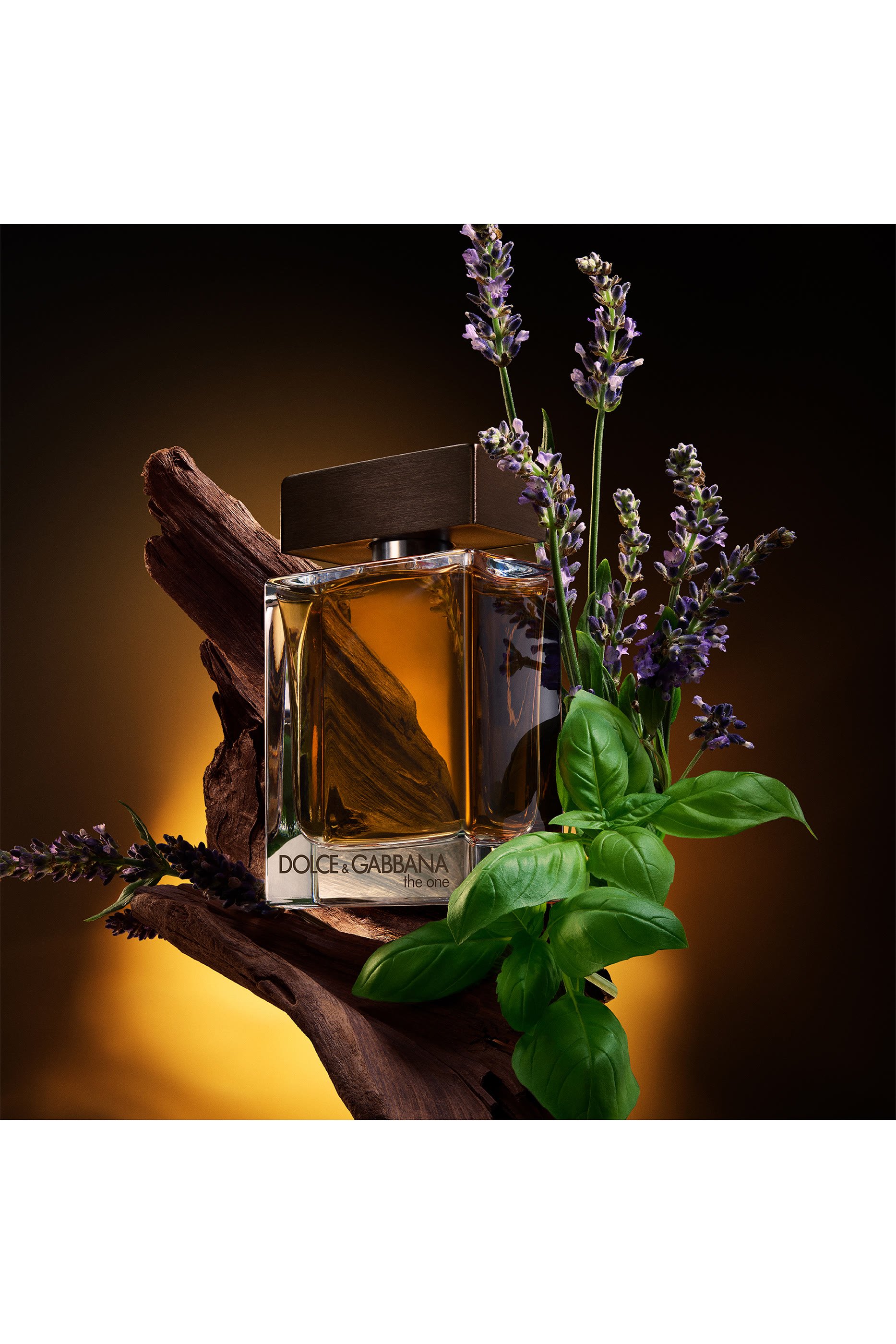 The One Pour Homme Eau de Toilette