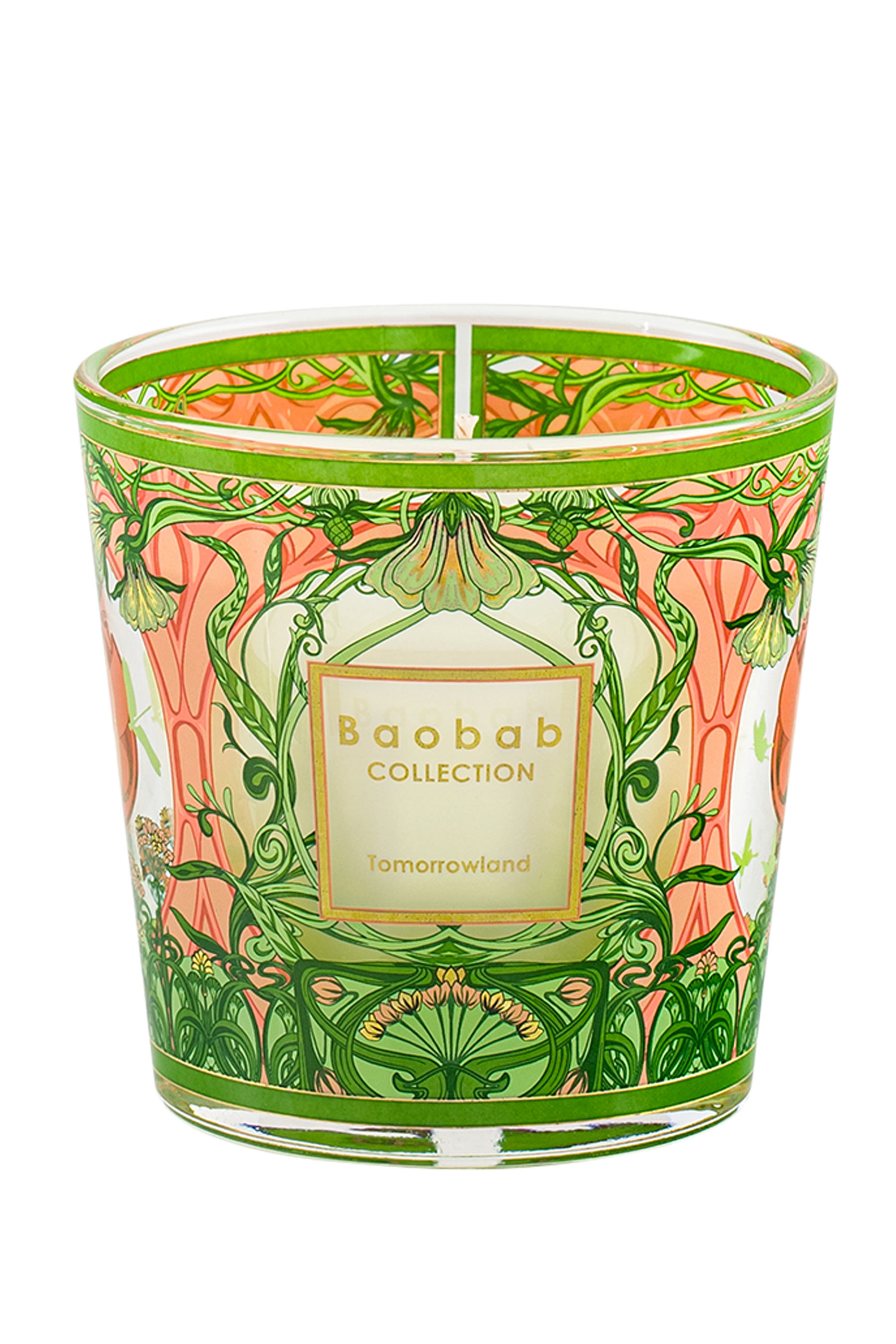 My First Baobab Tomorrowland 2024