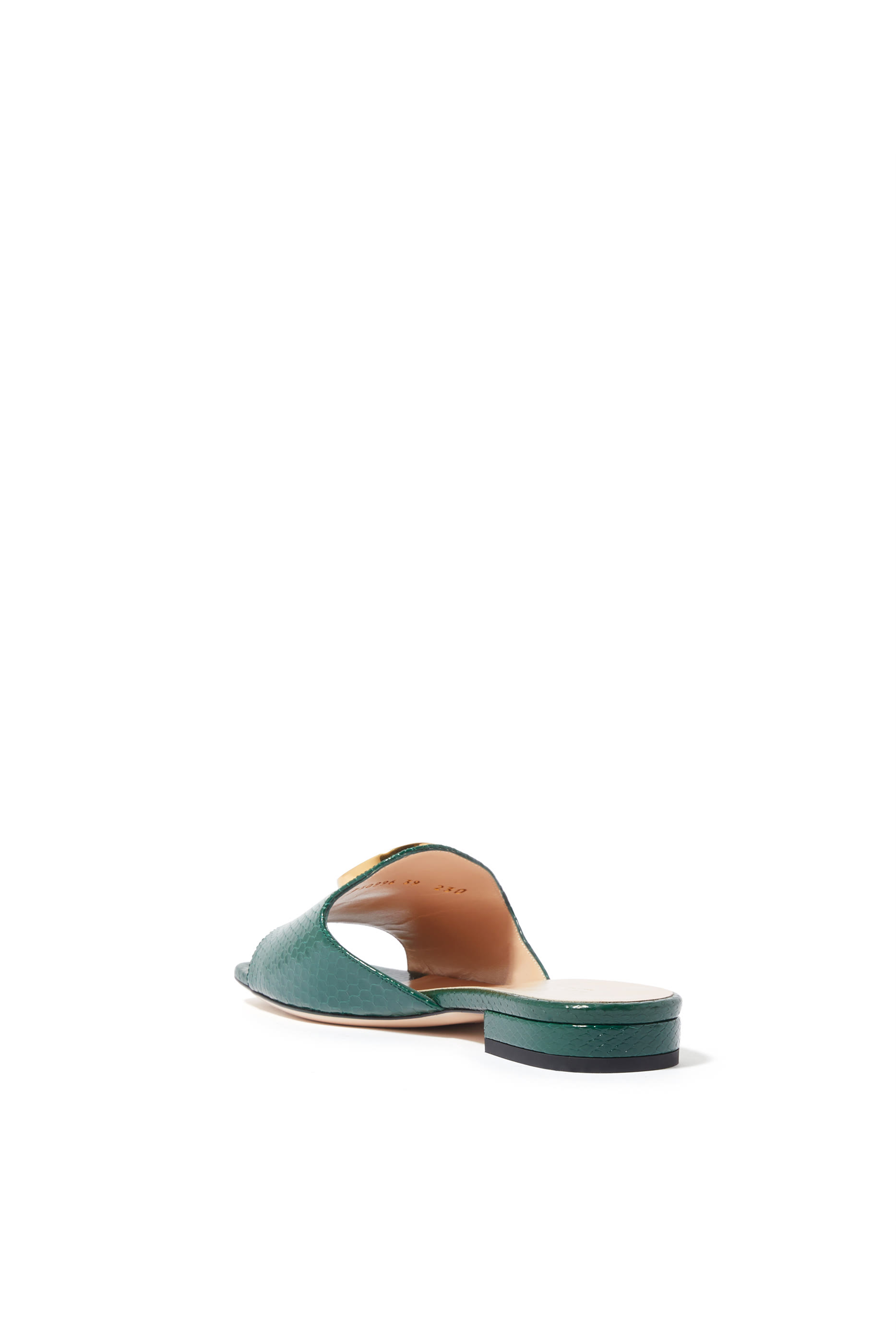 Nojum Blondie Python Slides