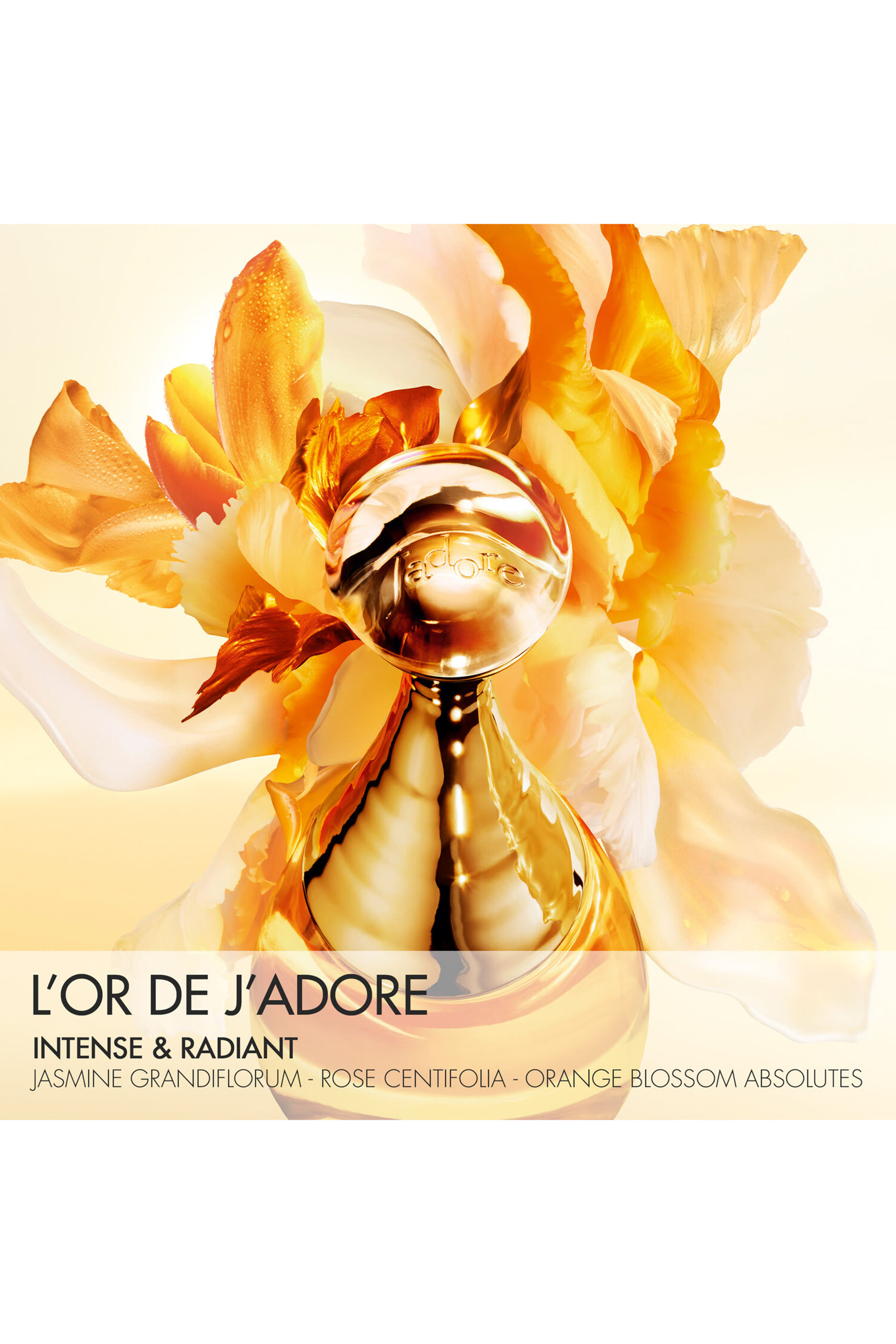 L'Or de J'adore