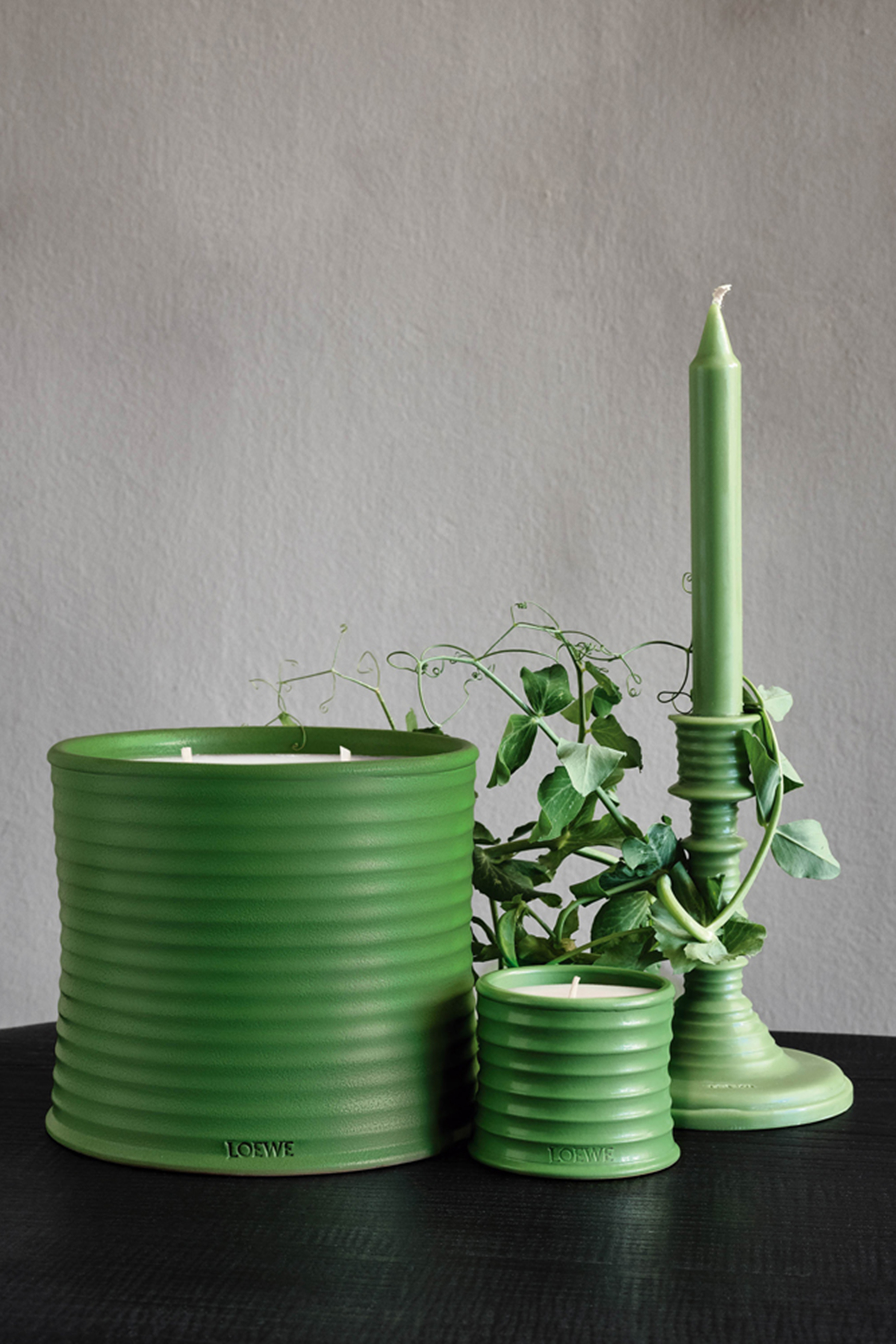 Luscious Pea Wax Candleholder