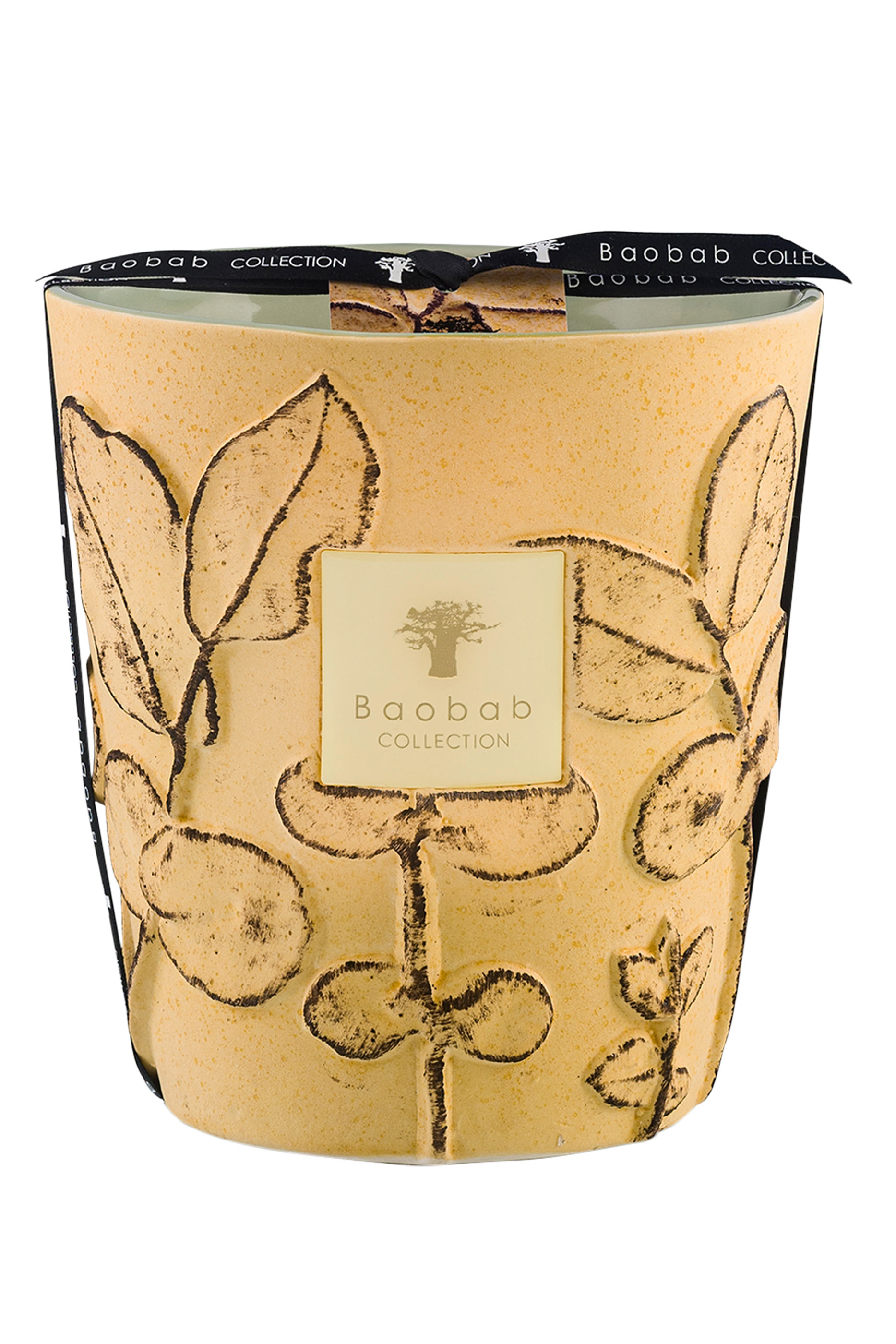 Max 16 Folia Garrigue Scented Candle