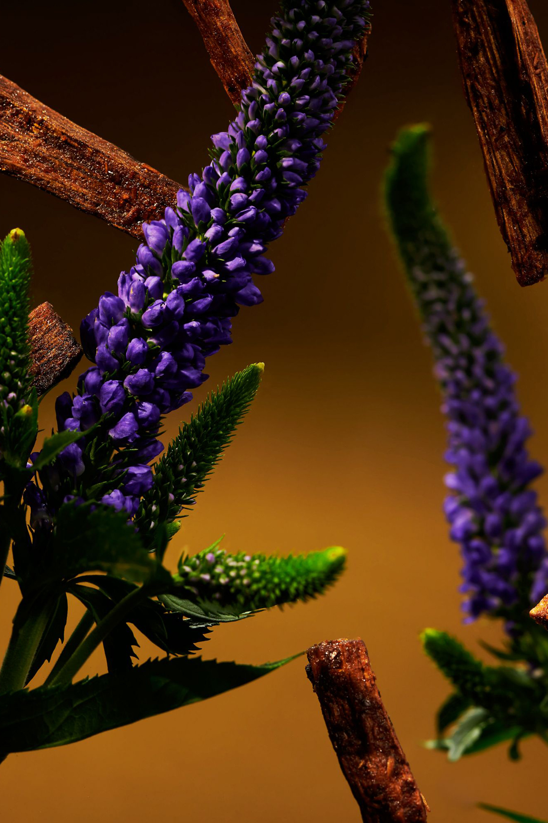 Black Oudh & Patchouli Room Spray - The Ritual of Oudh