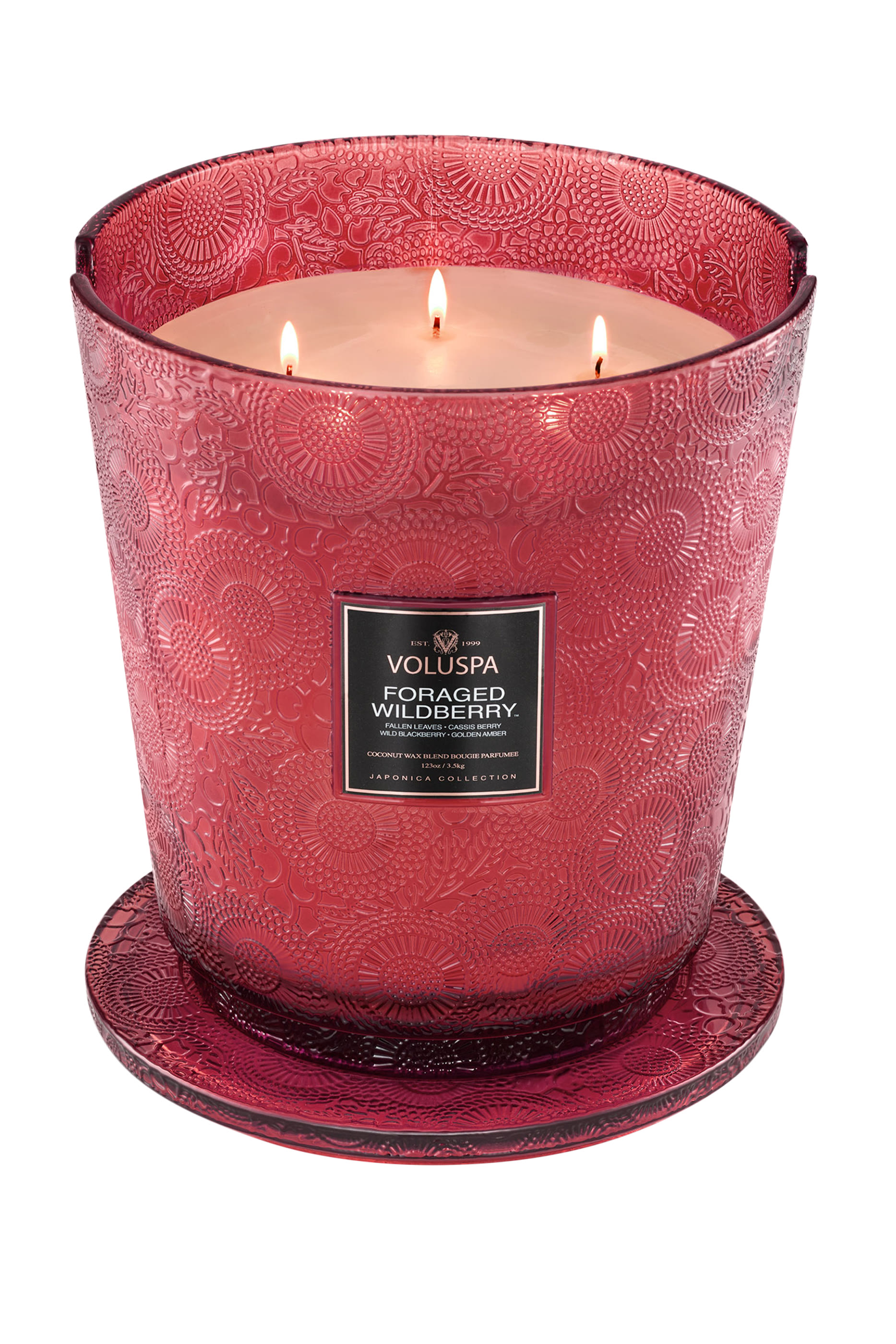 Foraged Wildberry Luxe Jar Candle