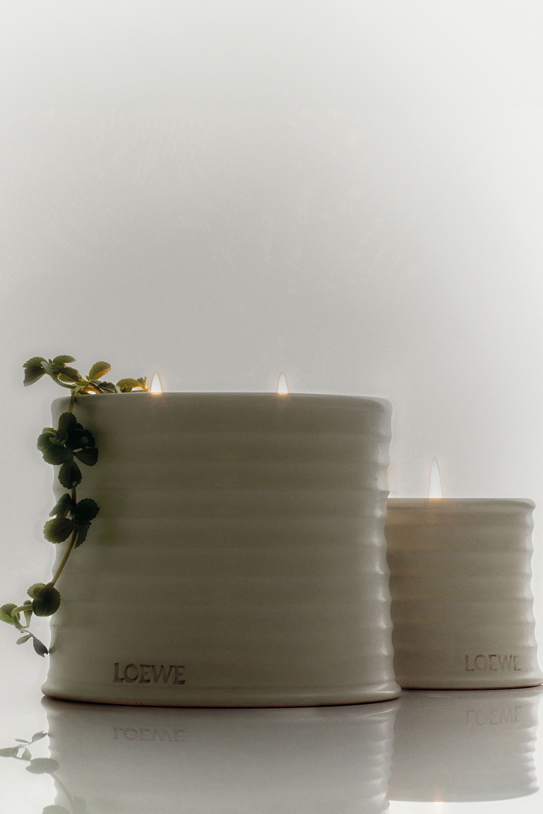 Oregano Scented Candle