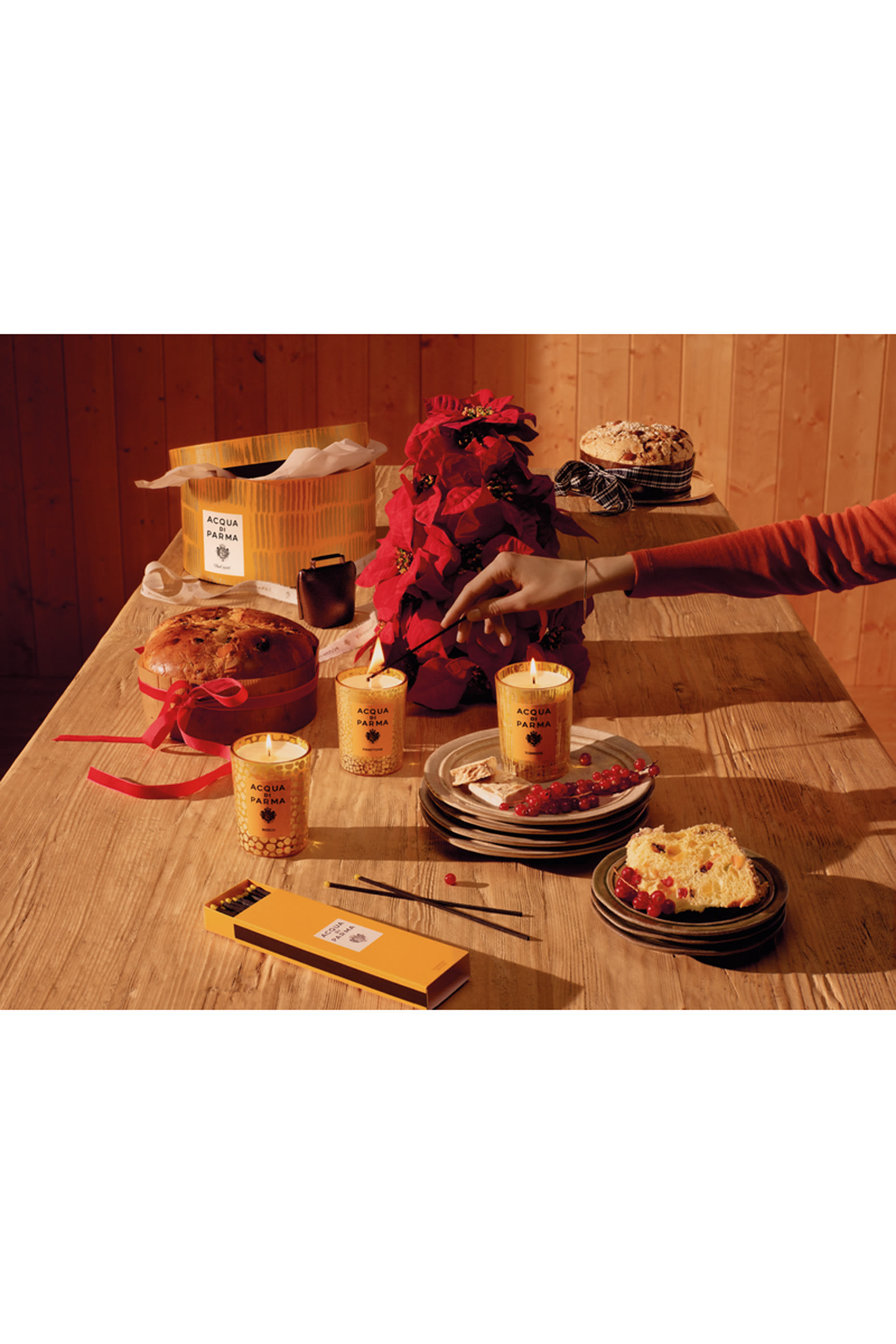 Bosco Candle &ndash; Holiday 2025 Edition