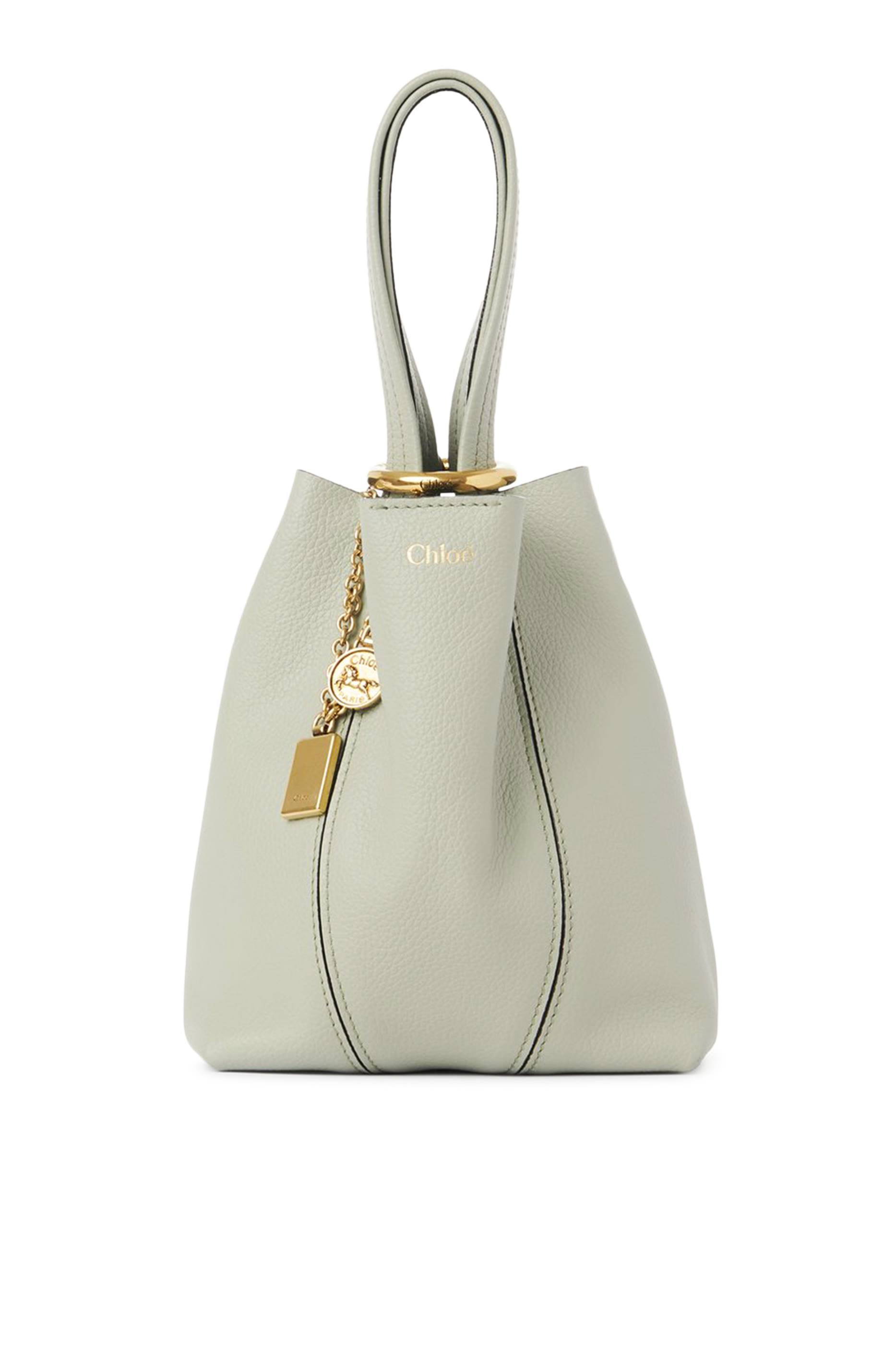 Small Spin Tote Bag in Grained Leather