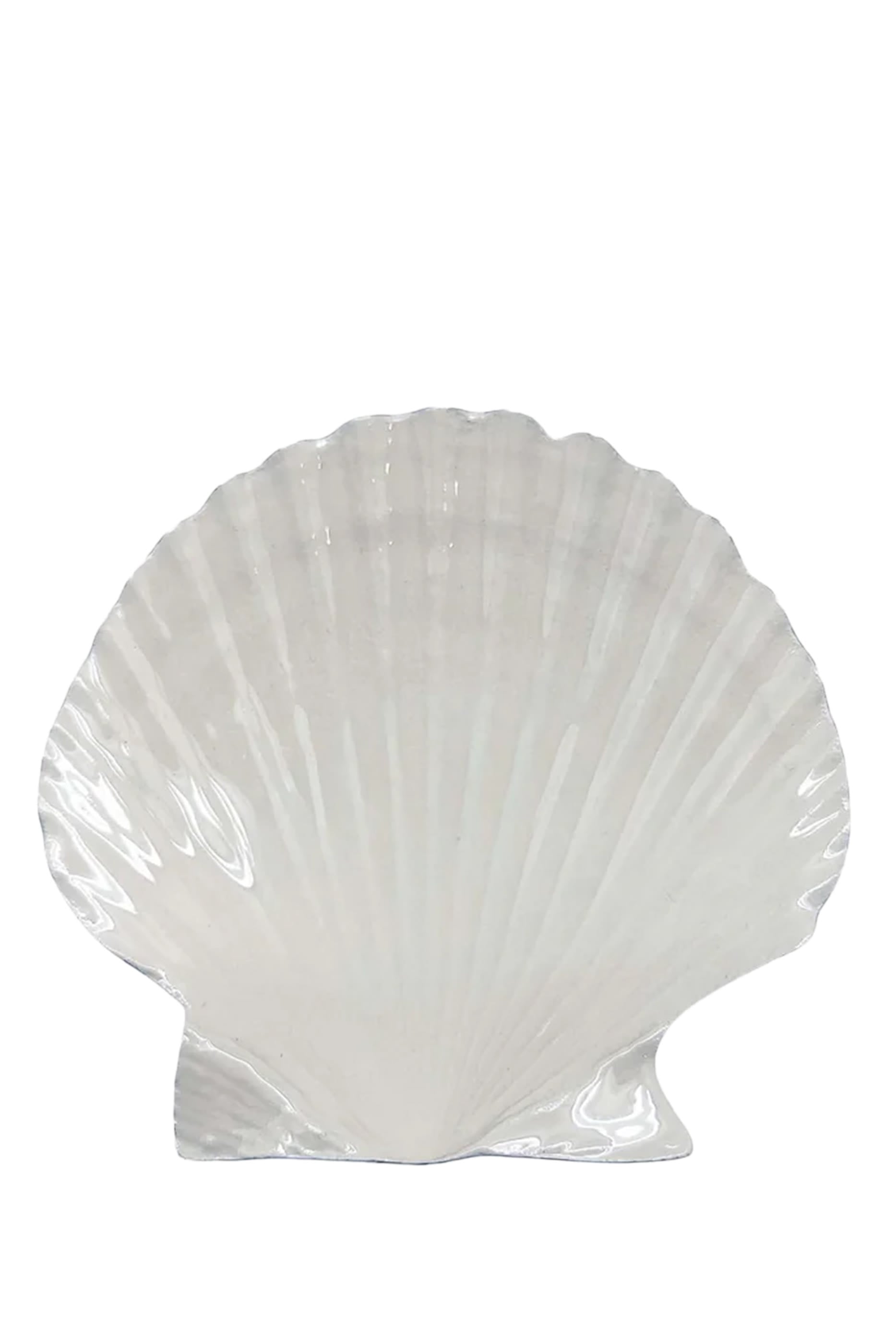 Scallop Trinket Dish