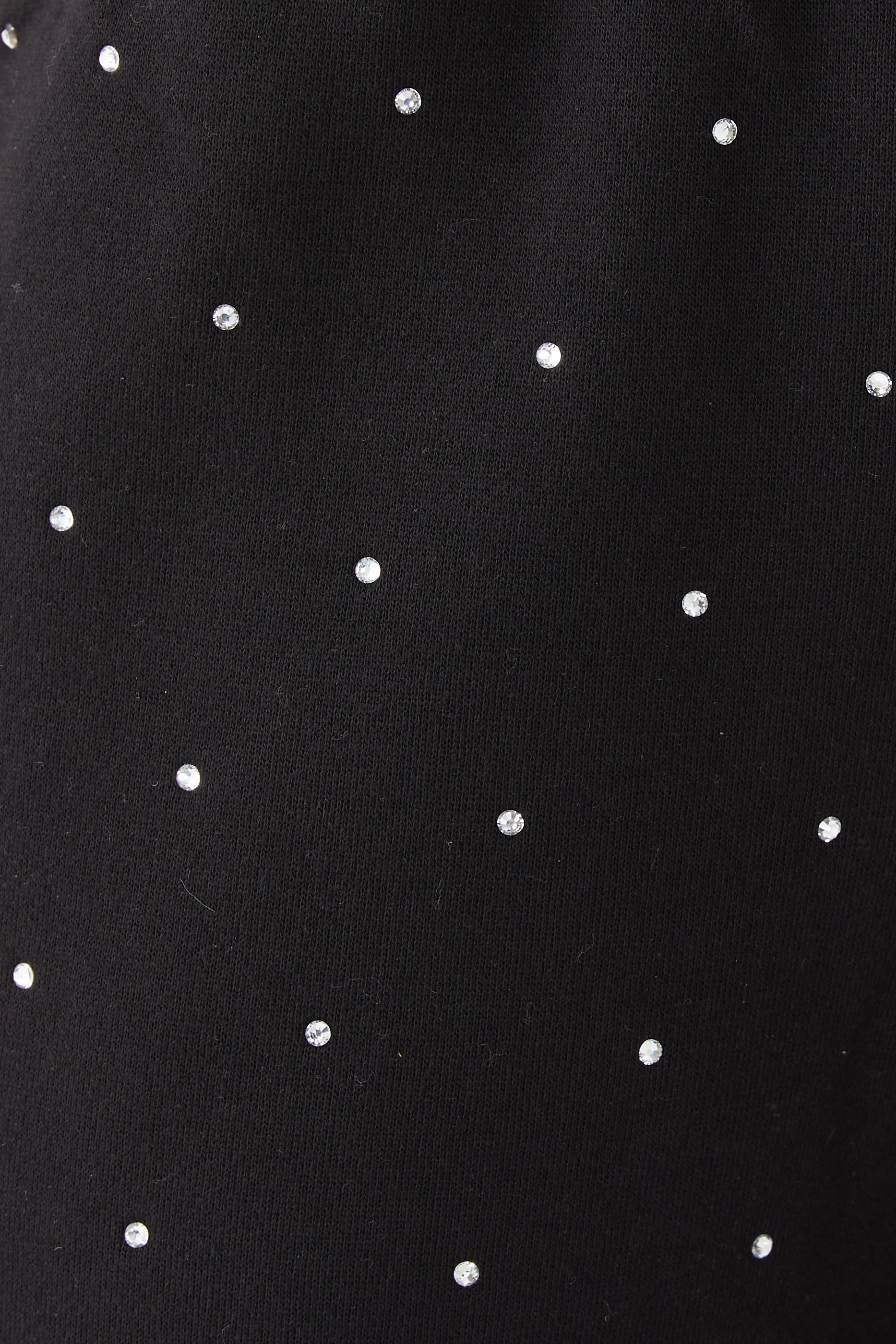 Crystal Wide Leg Sweatpants