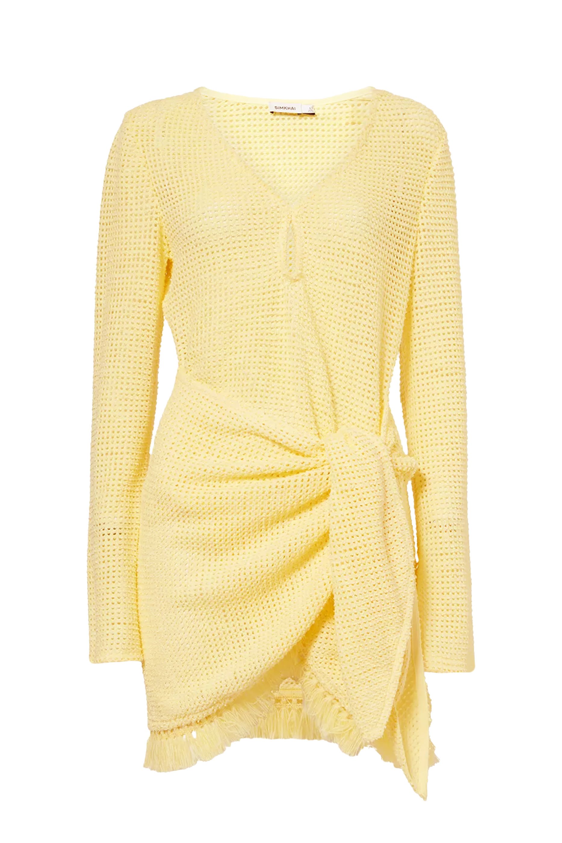 Roux Fringe-Hem Mini Dress