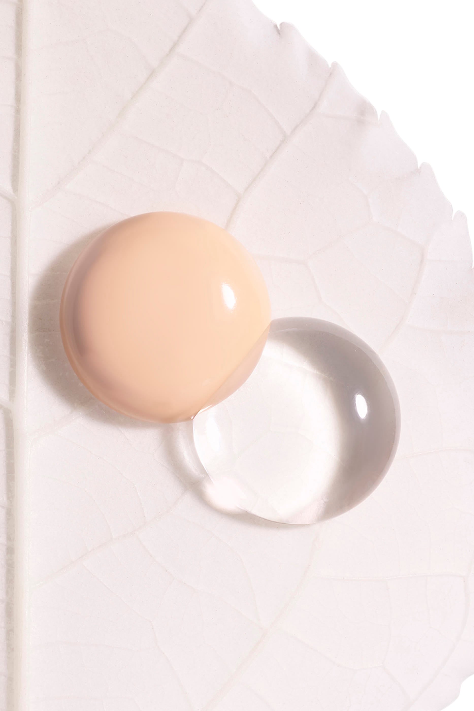 Phyto-Blanc Le Cushion Refill