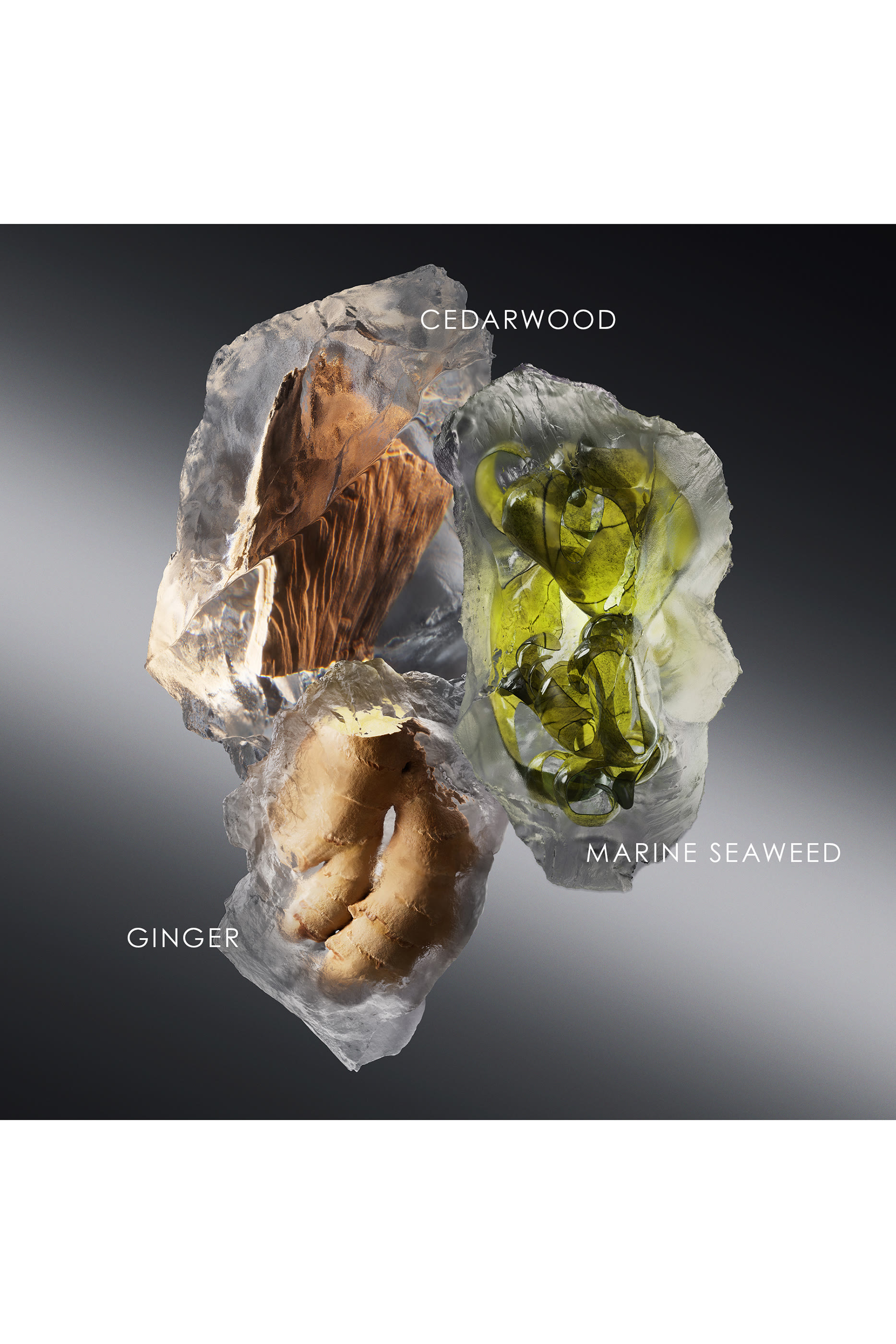 Le Sel d'Issey Eau de Toilette