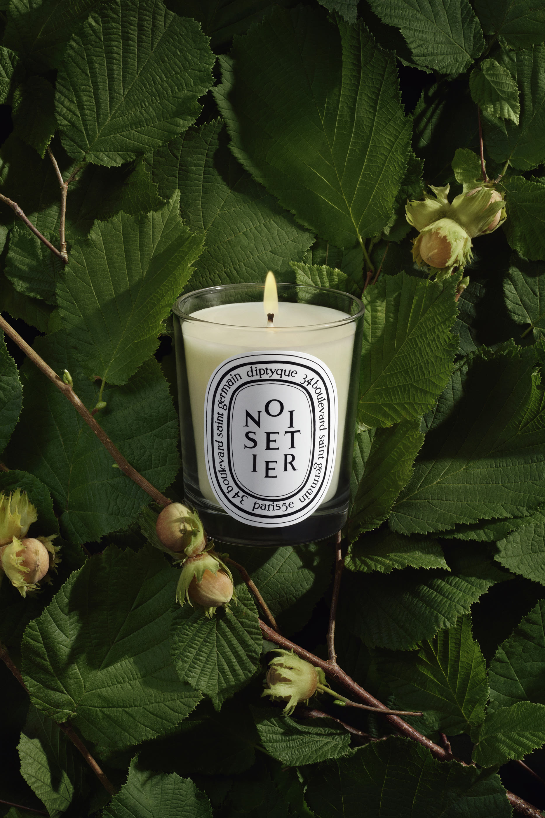 Noisetier Candle