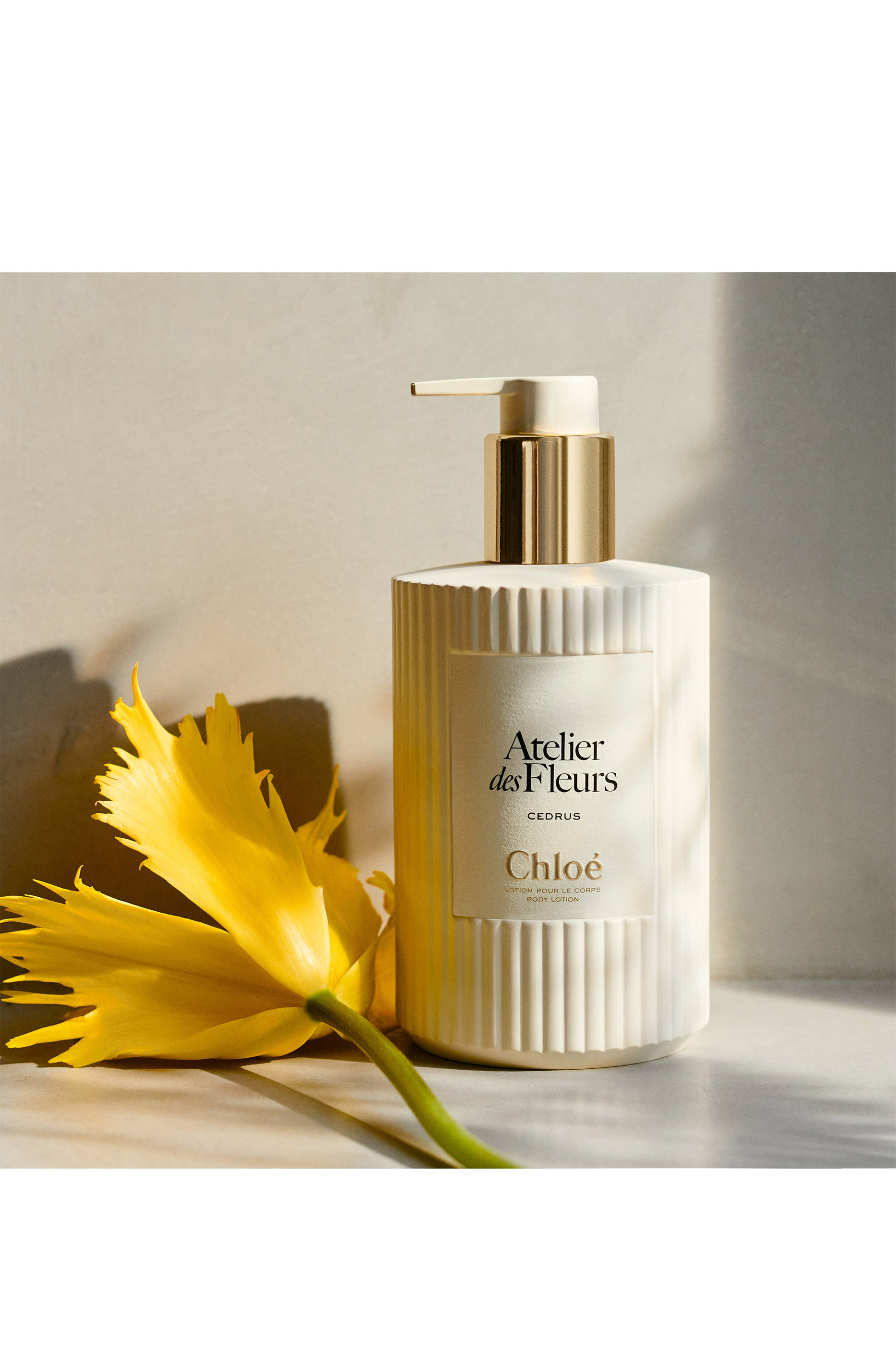 Atelier des Fleurs Cedrus Perfumed Body Lotion