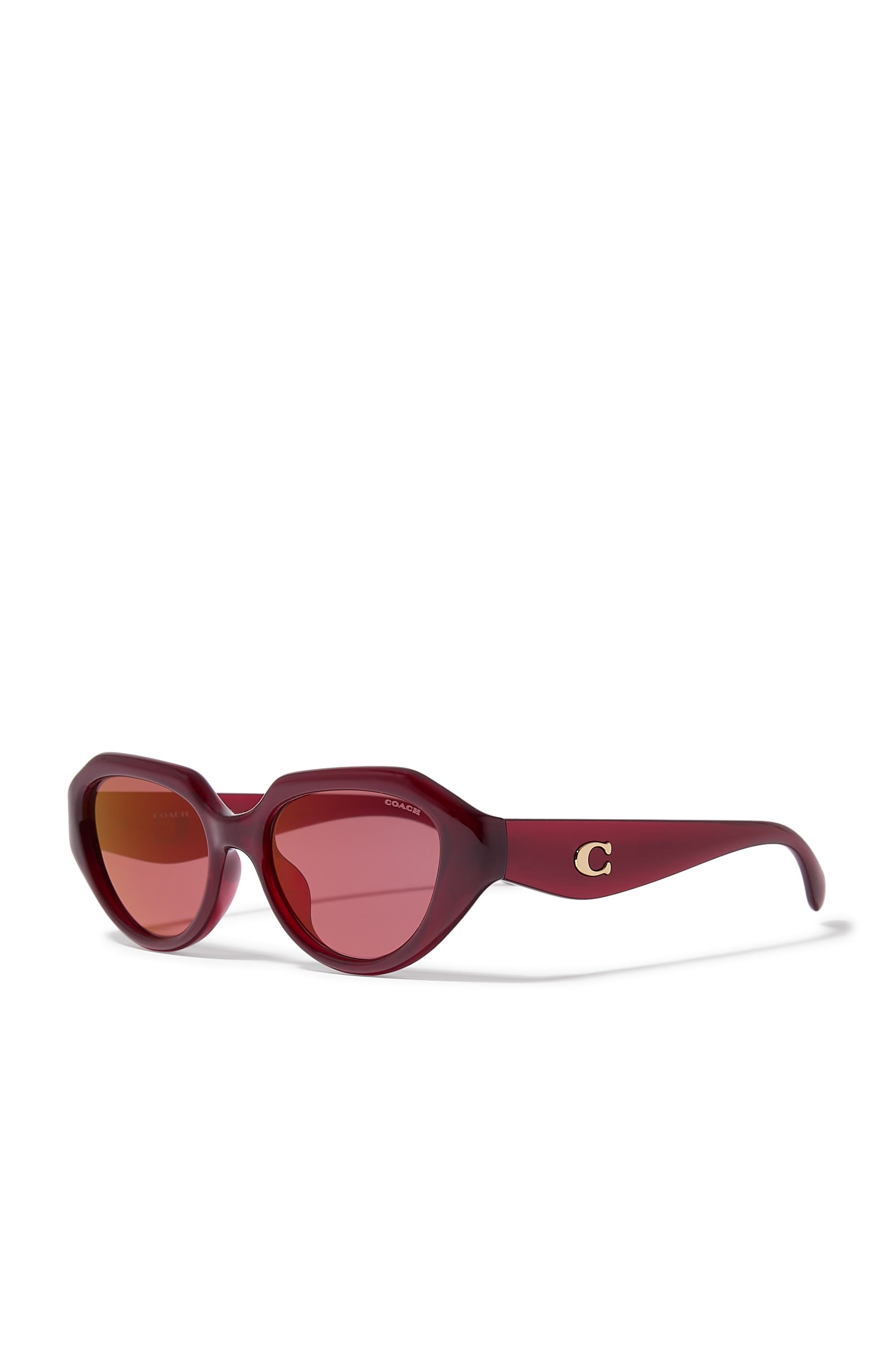 Irreg Frame Sculpted C Logo Temple Sunglasses