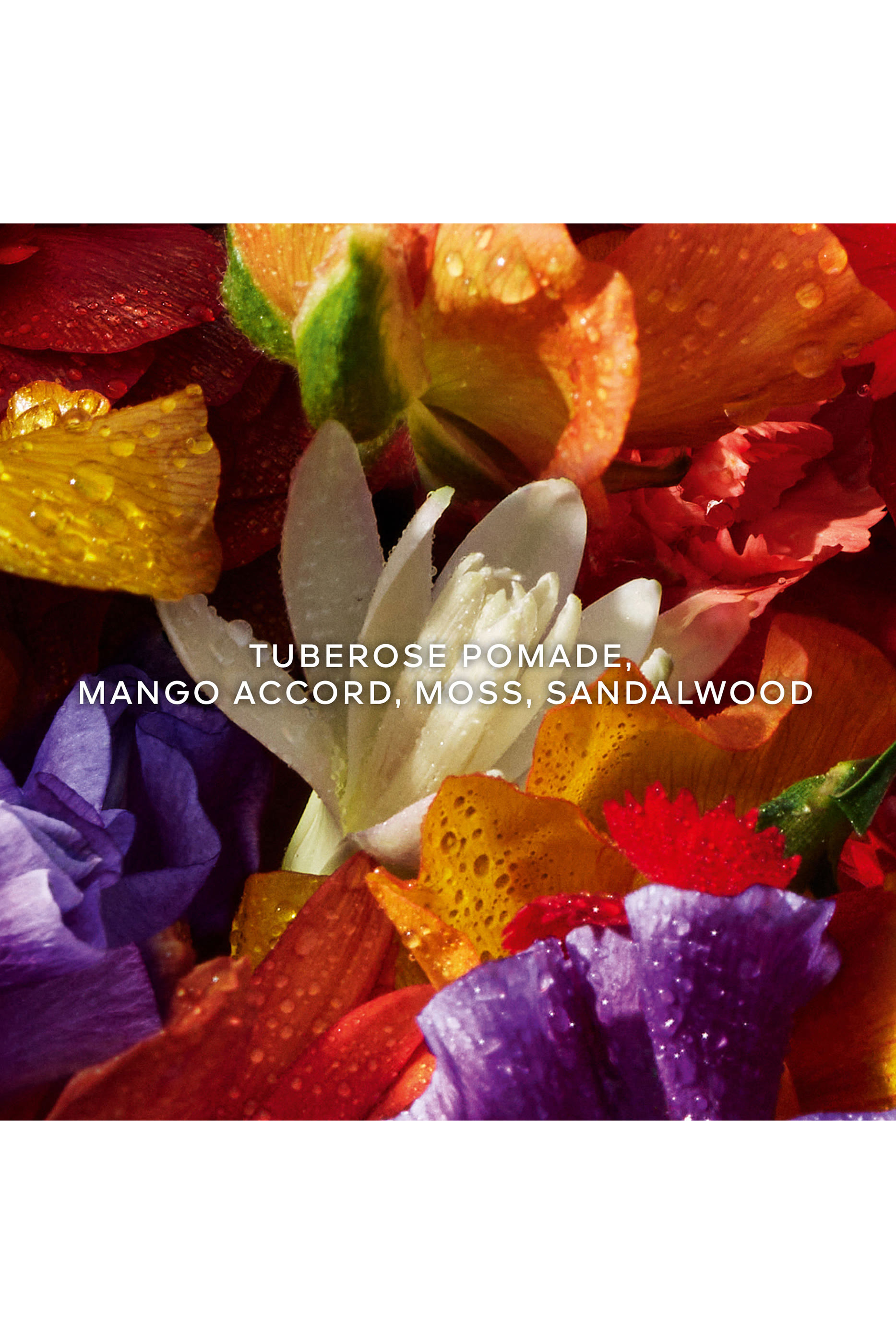 Aqua Allegoria Florabloom Forte Gift Set