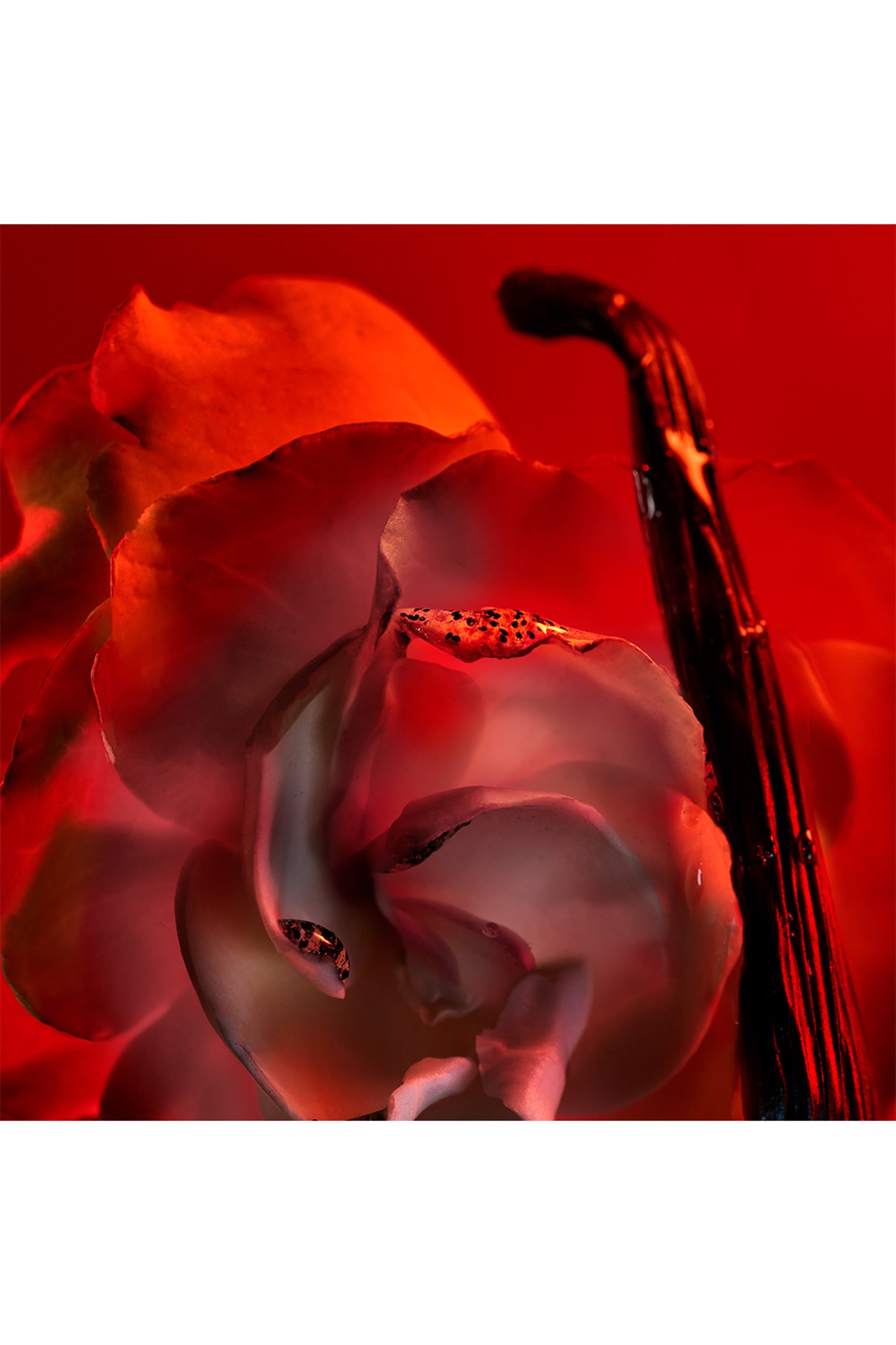 Allegra Baciami Liquid Soap