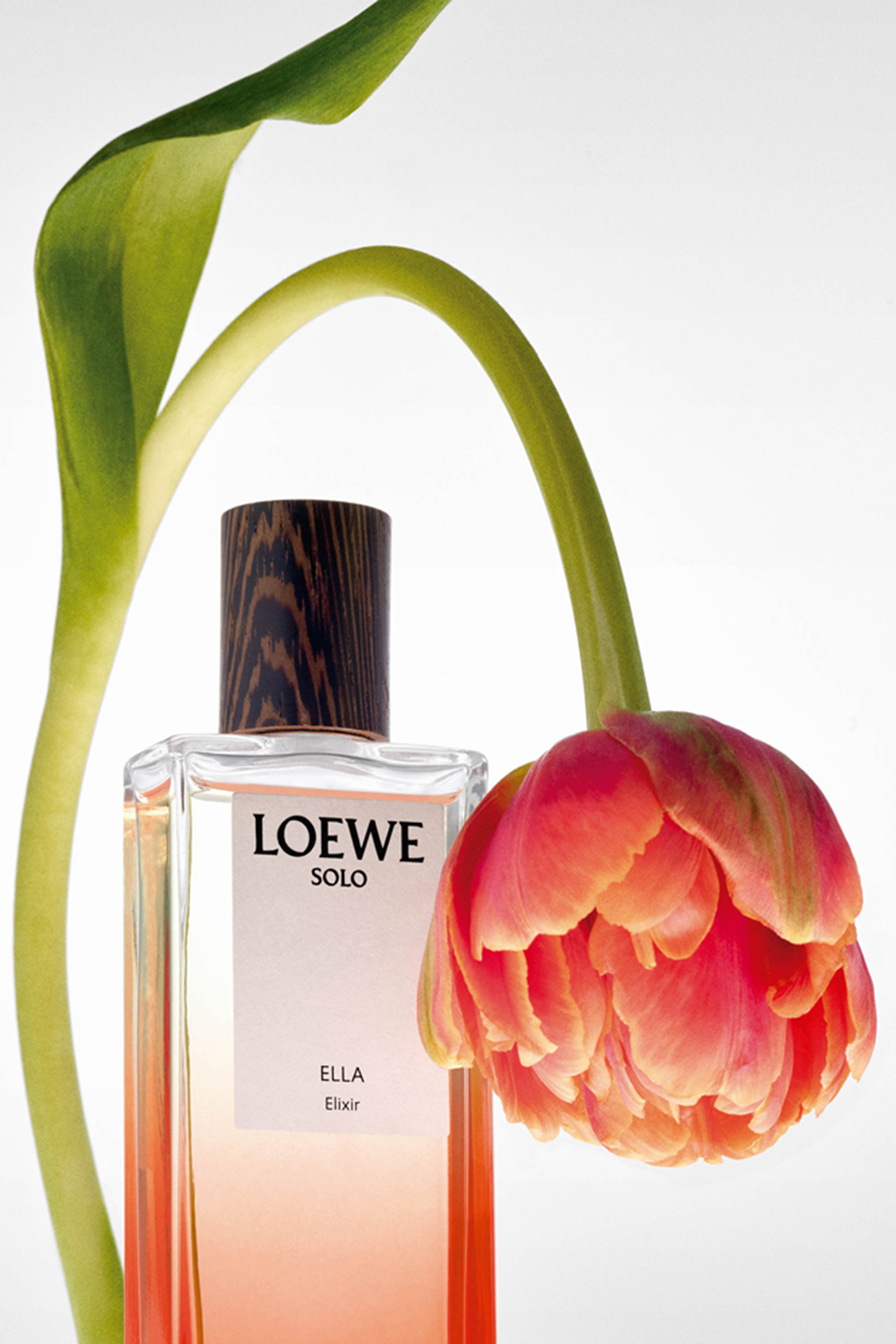 LOEWEソロ エジャ エリクシール100ml solo ella elixir 今すぐ購入 ロエベ ソロ エジャ エリクシール 100ml | ロエベ パルファム