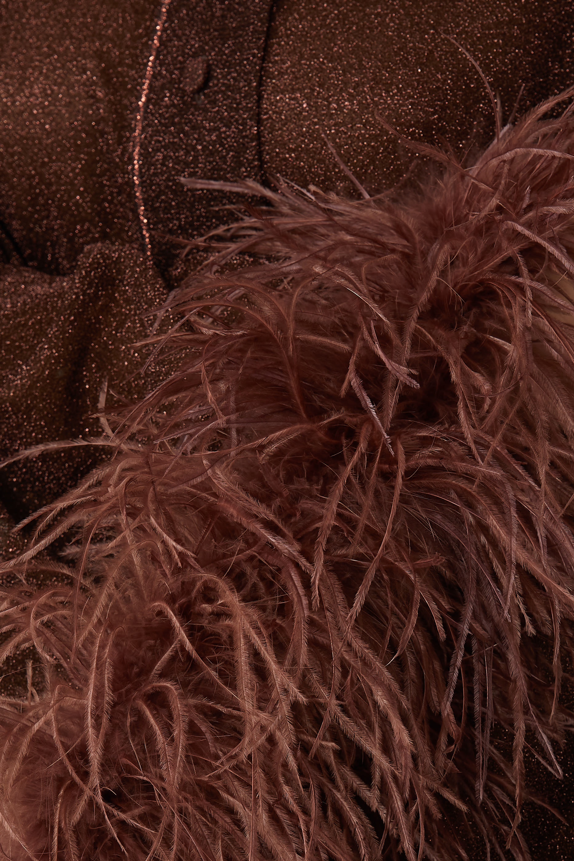 Lumiere Plumage Feather-Trim Shirt