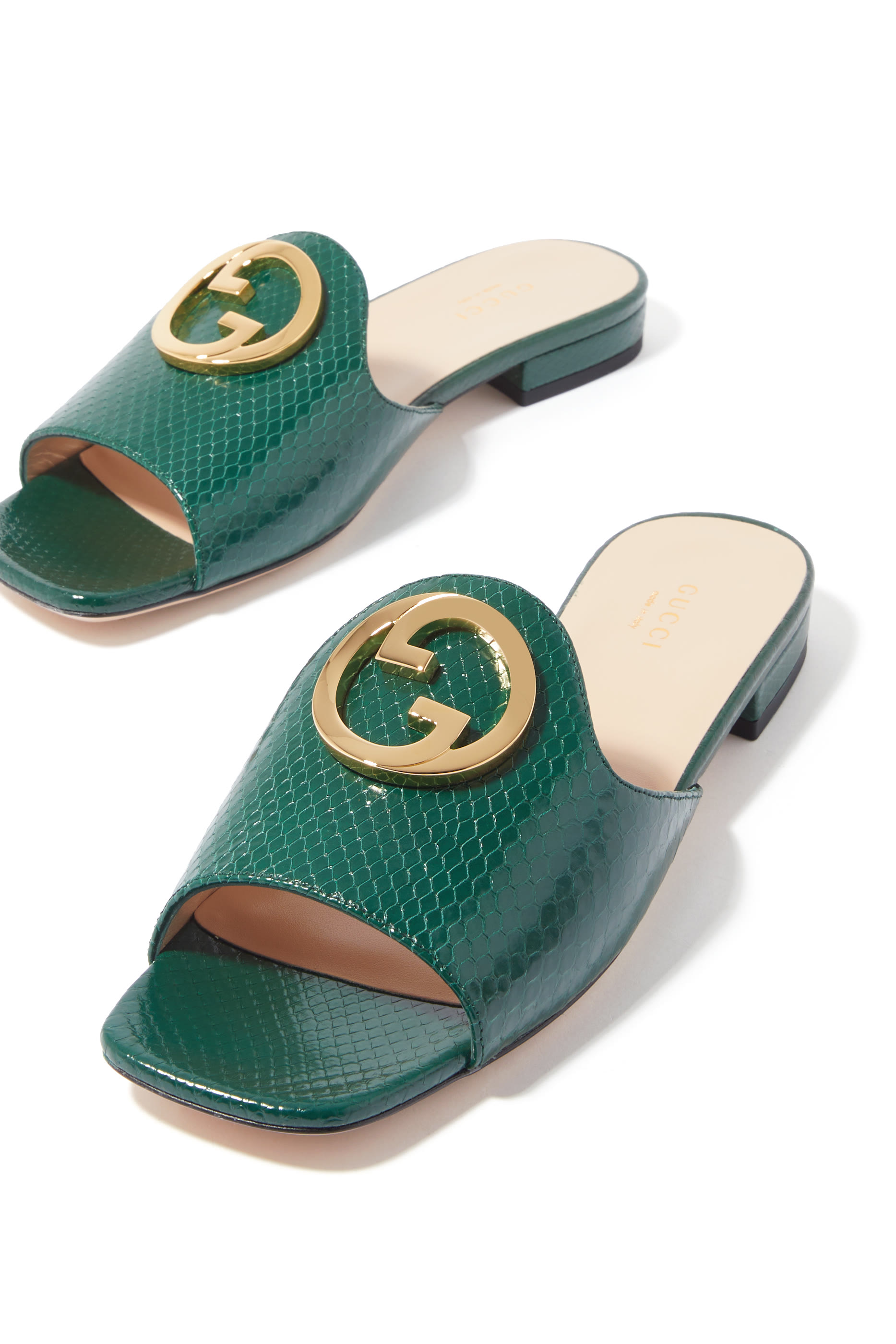 Nojum Blondie Python Slides