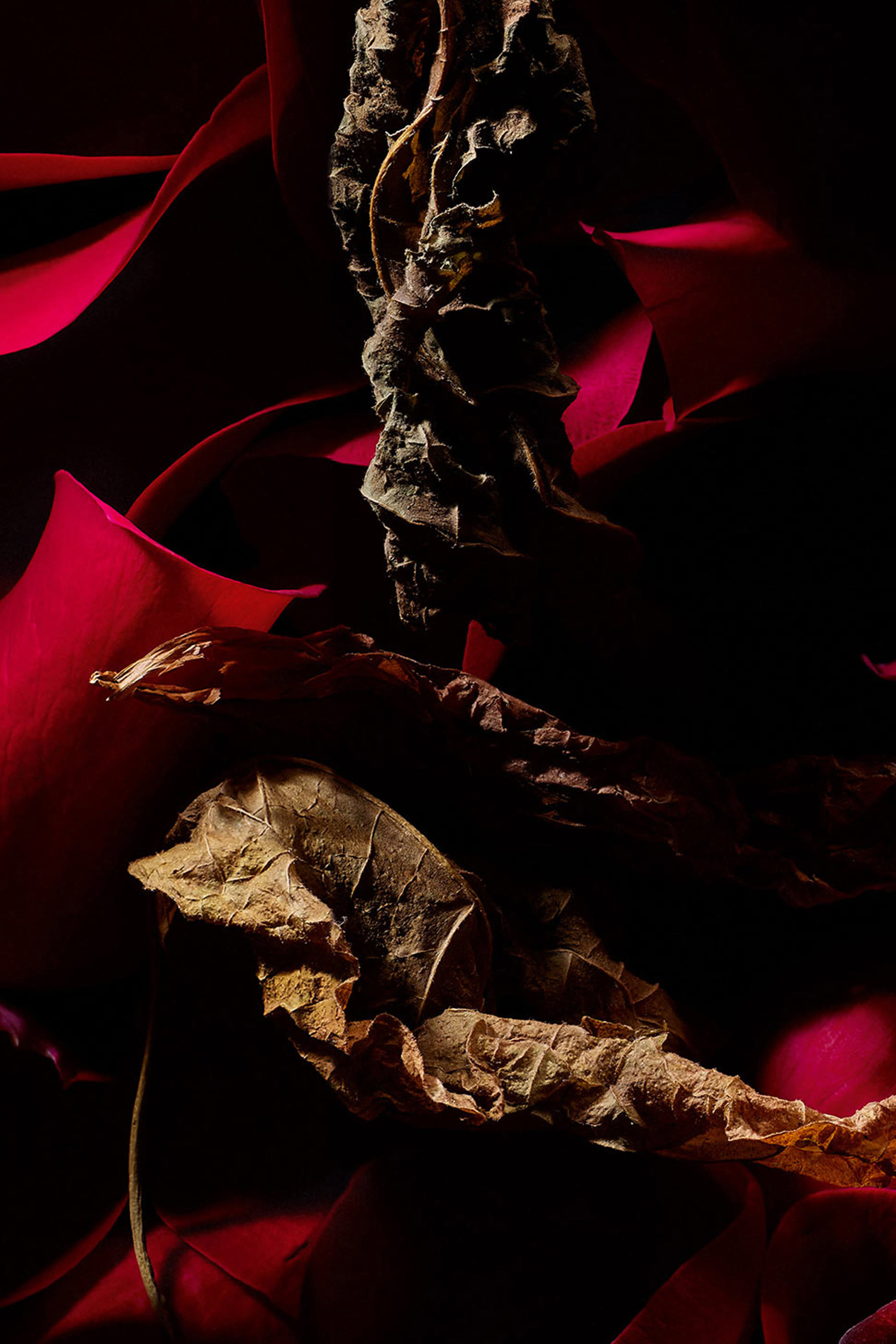 Rouge Velours Eau de Parfum