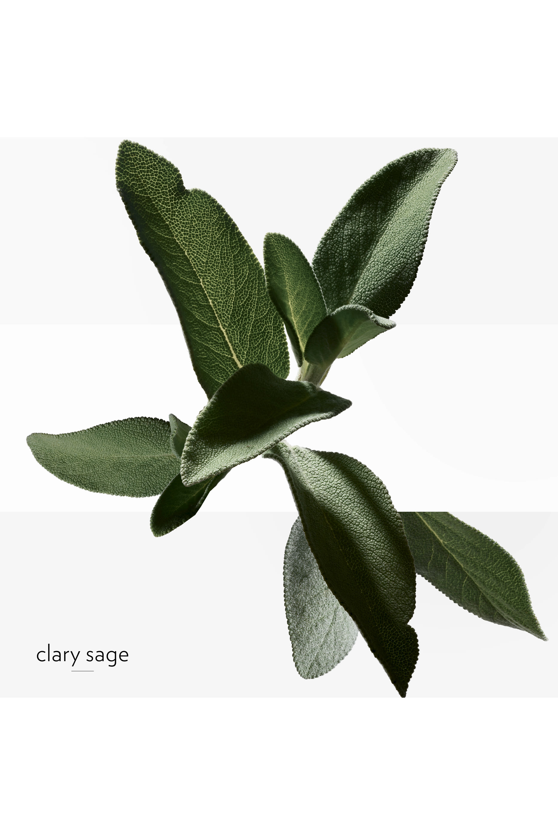 H24, Eau de Toilette Refill, 125 ml