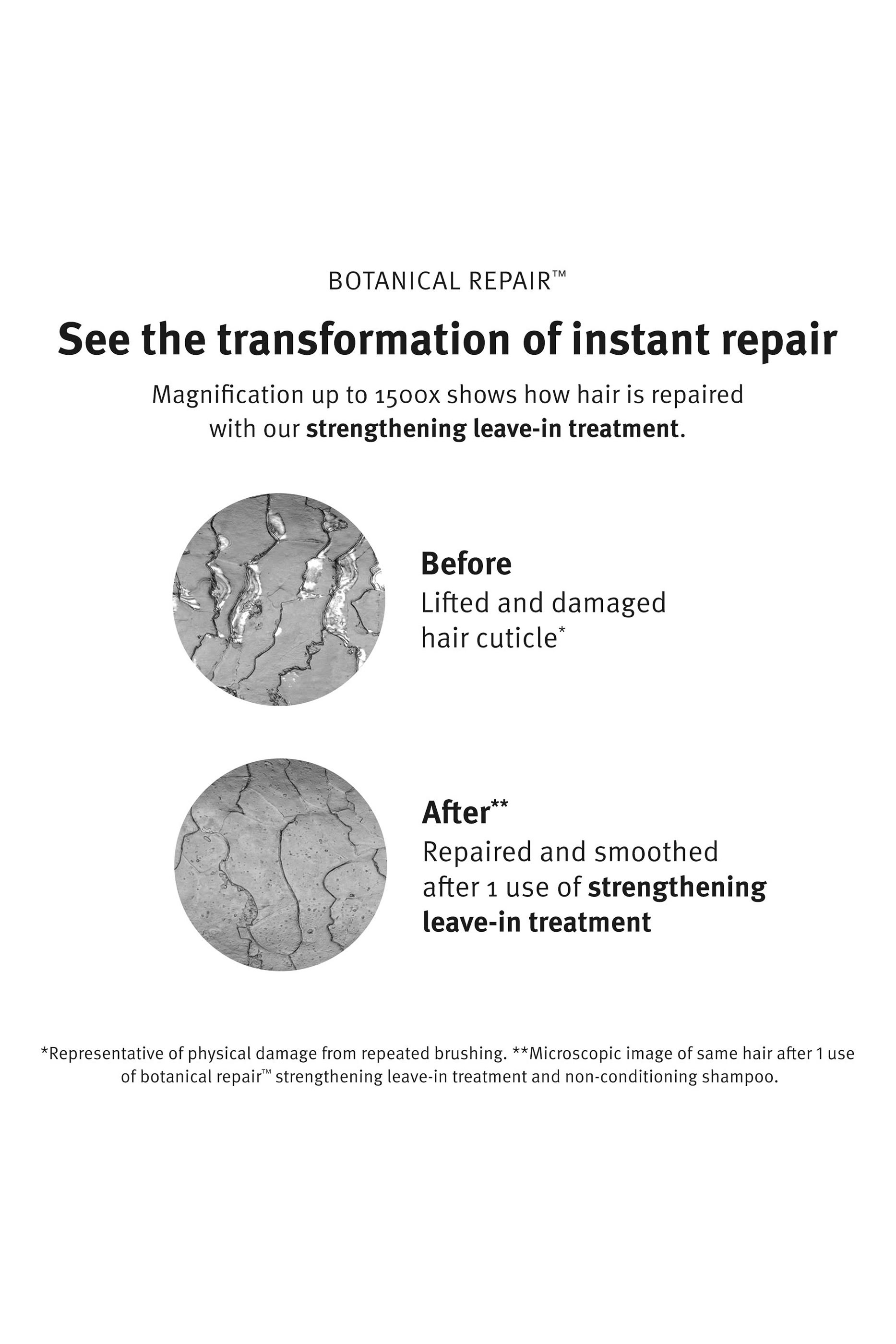 Botanical Repair Strengthening Essentials Gift Set