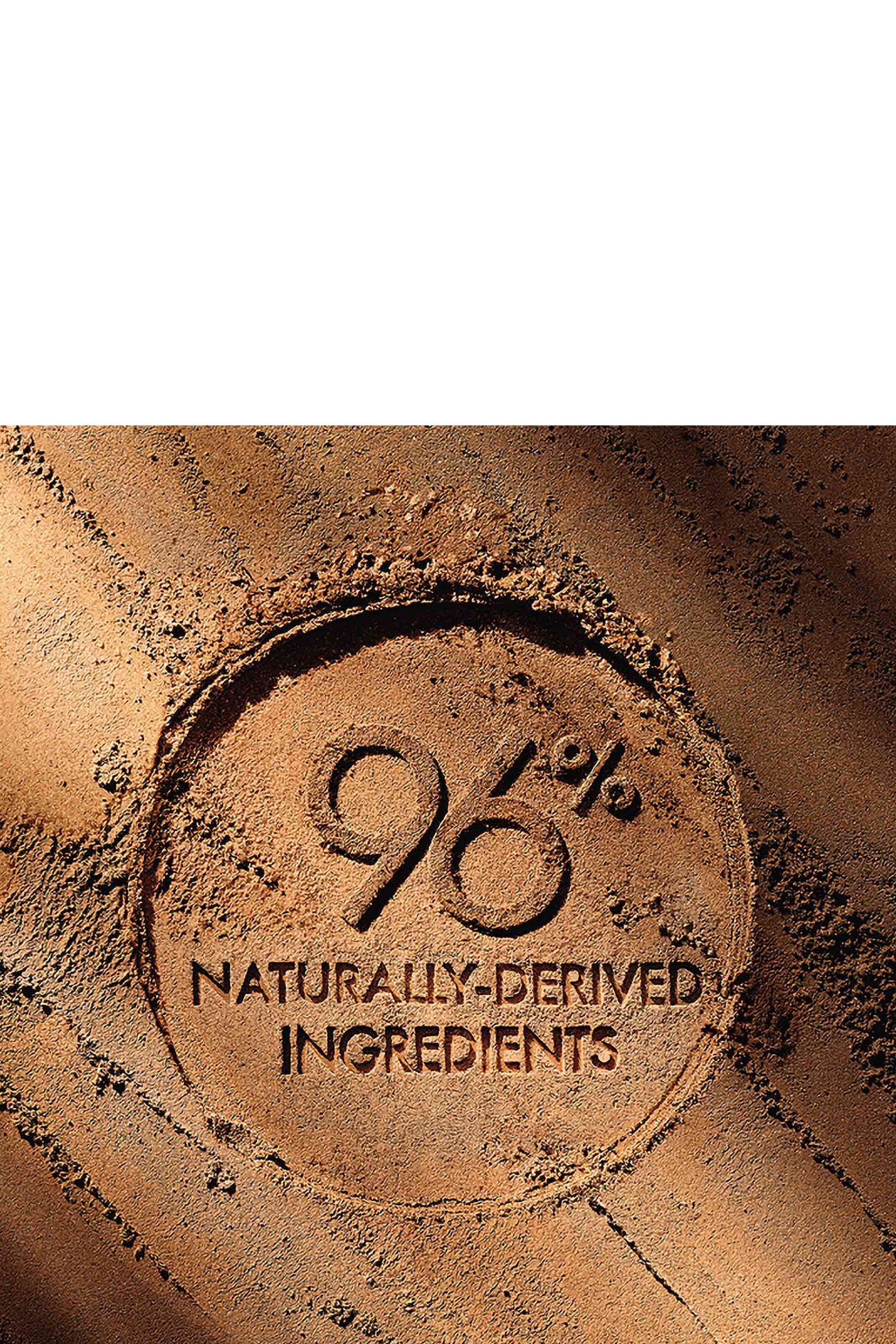 Terracota The Bronzing Powder