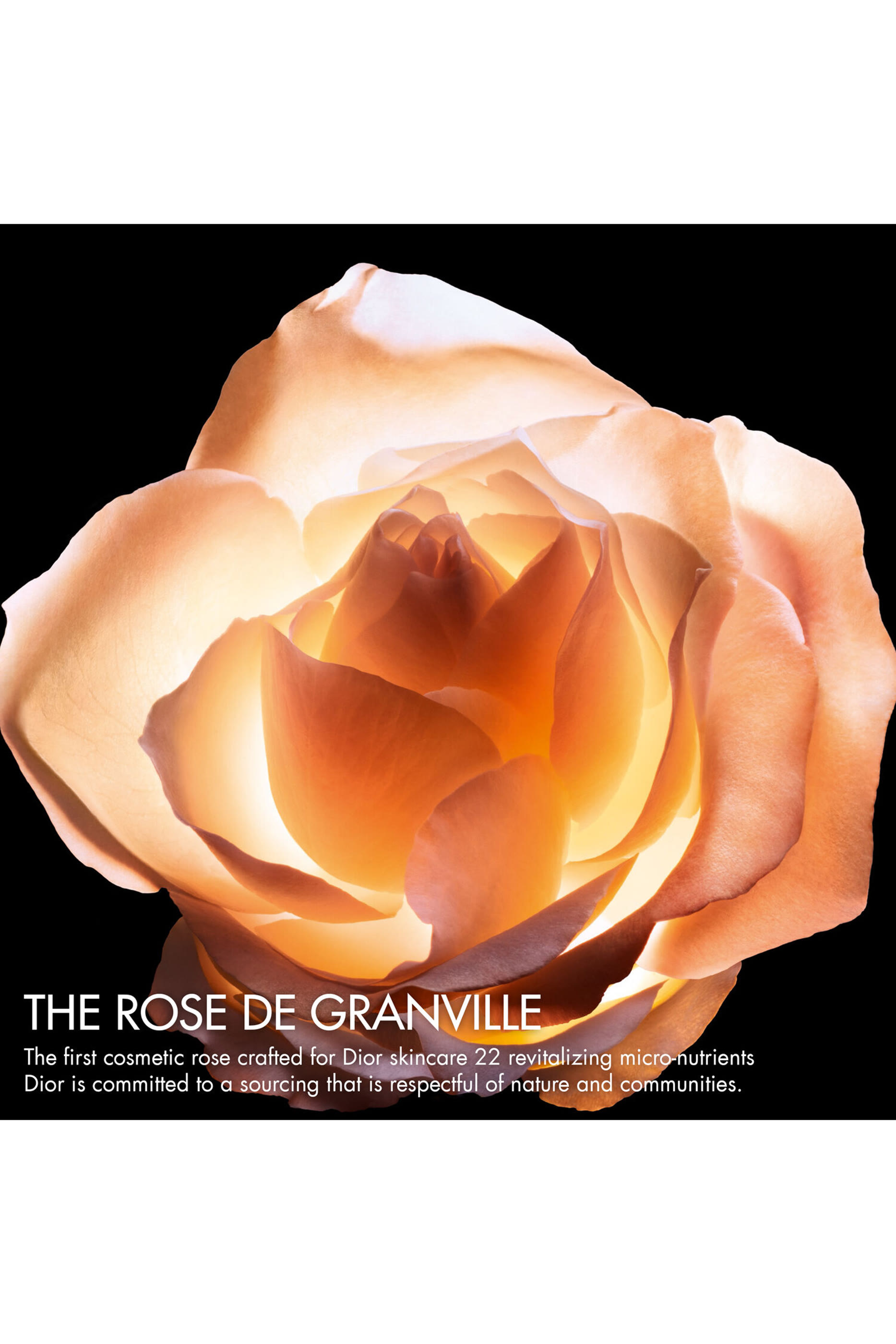 Prestige Le Concentré Yeux Anti-Aging Care for Eye Contour