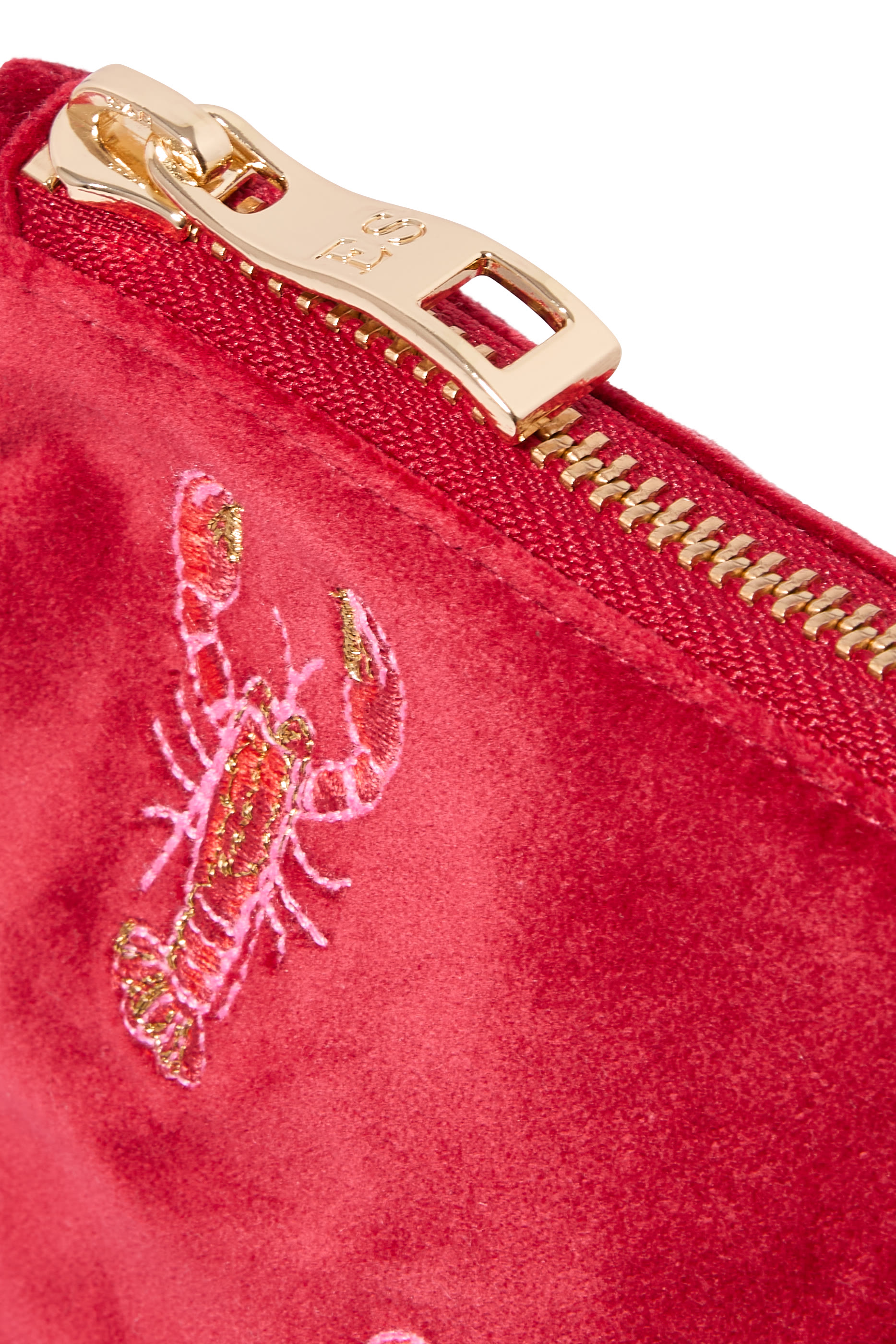 Lobster Everyday Pouch