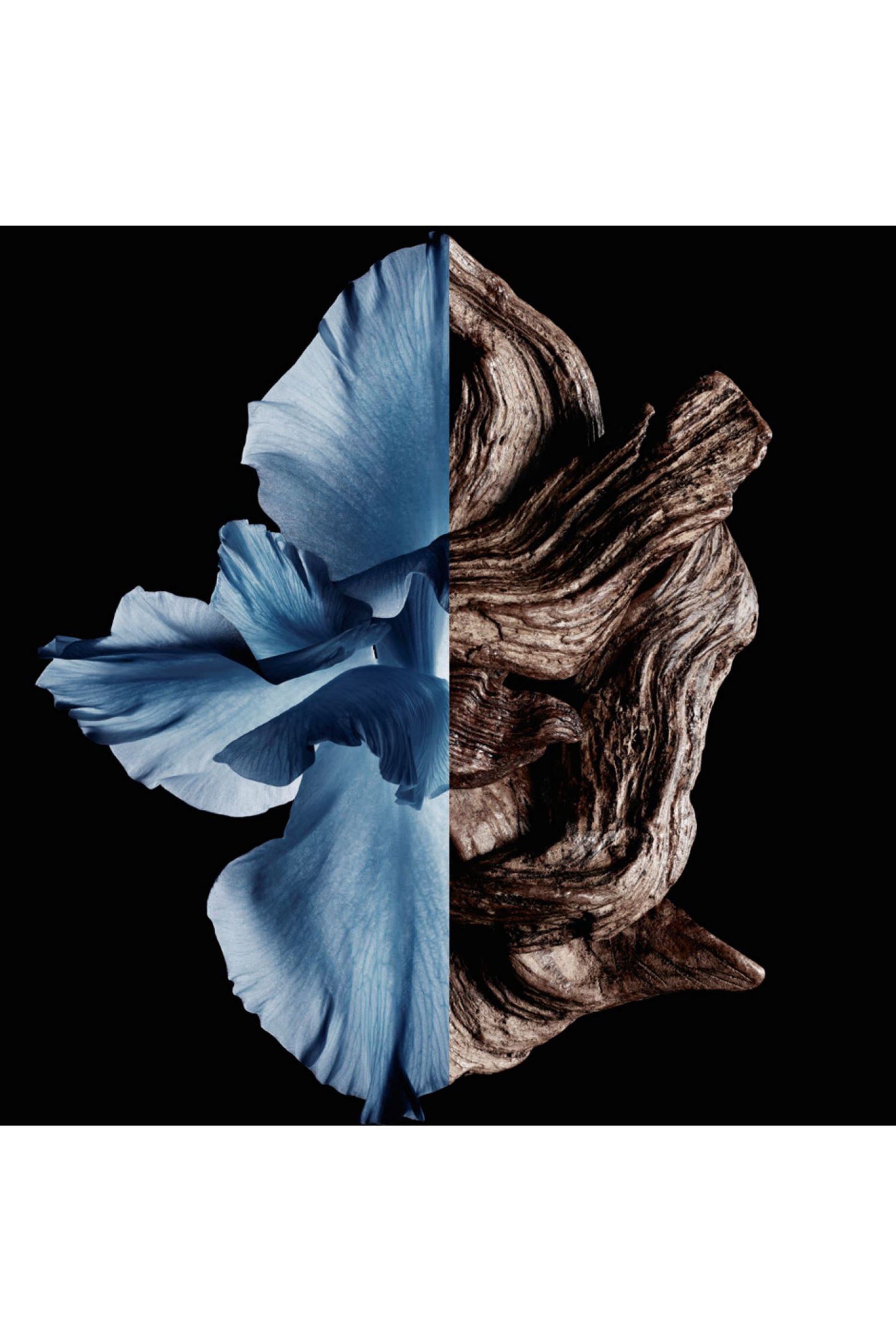 Gentleman Eau de Toilette Intense