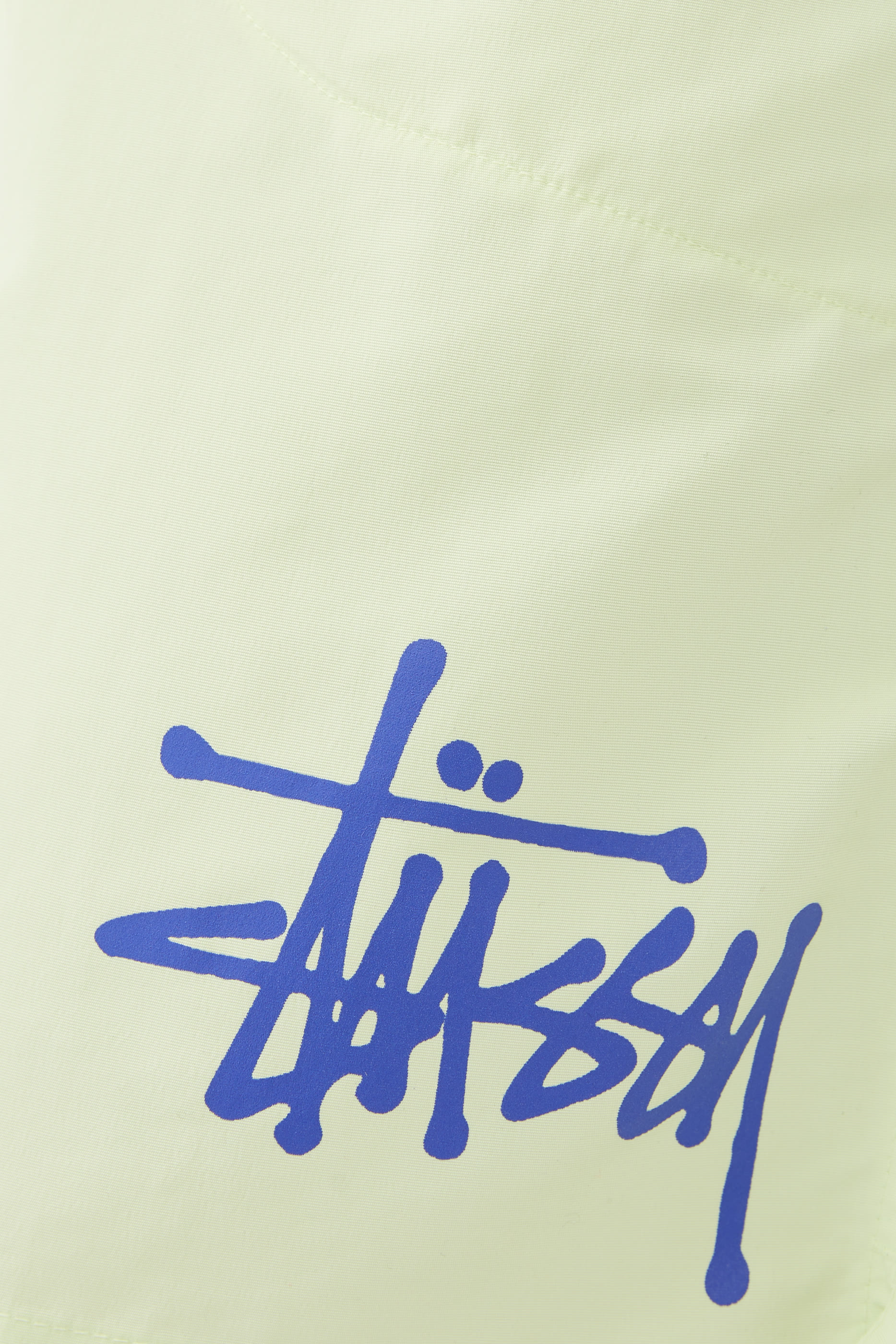 Big Basic Water Short